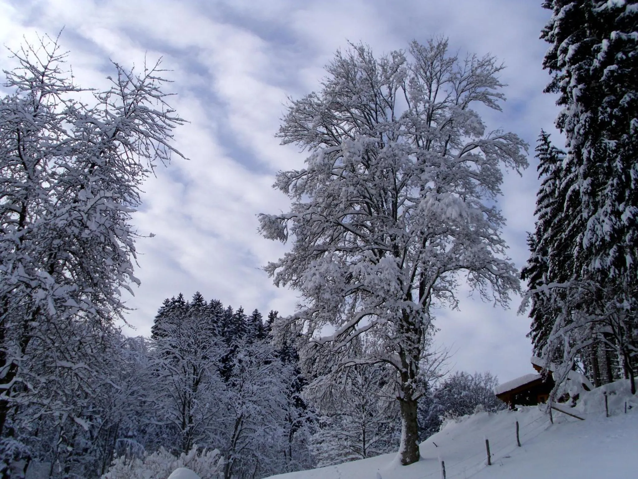Natural landscape in Gasthof Braun
