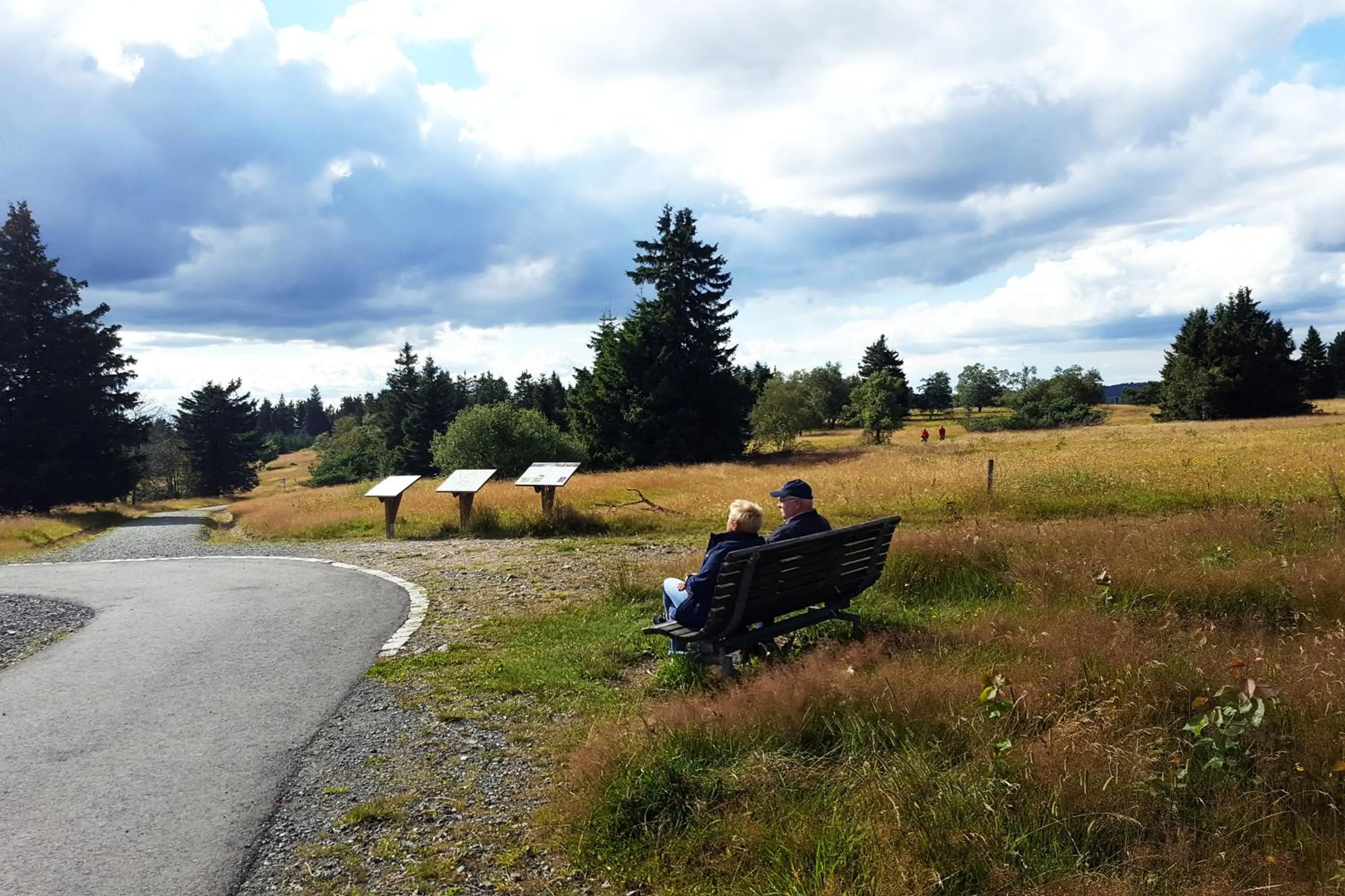 Natural landscape in Gasthof Braun