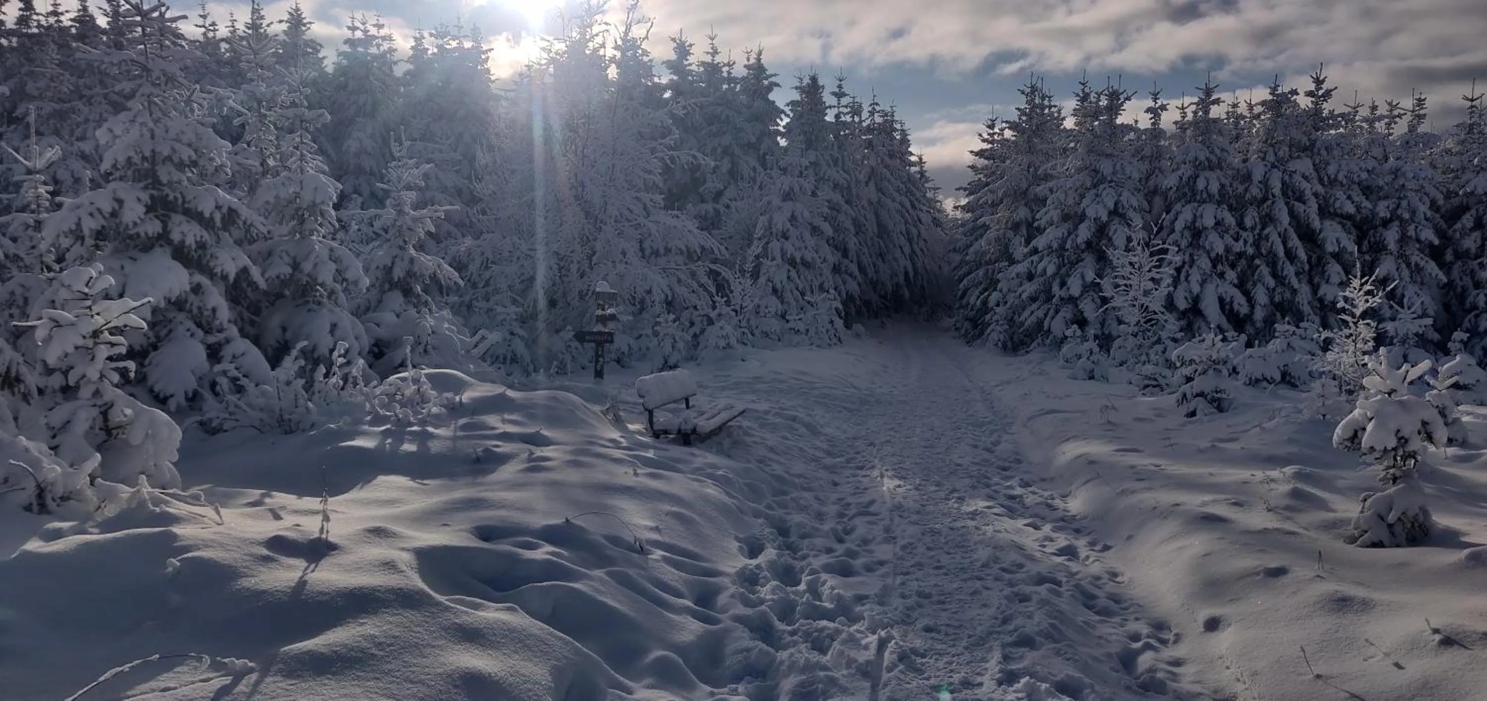 Winter in Gasthof Braun