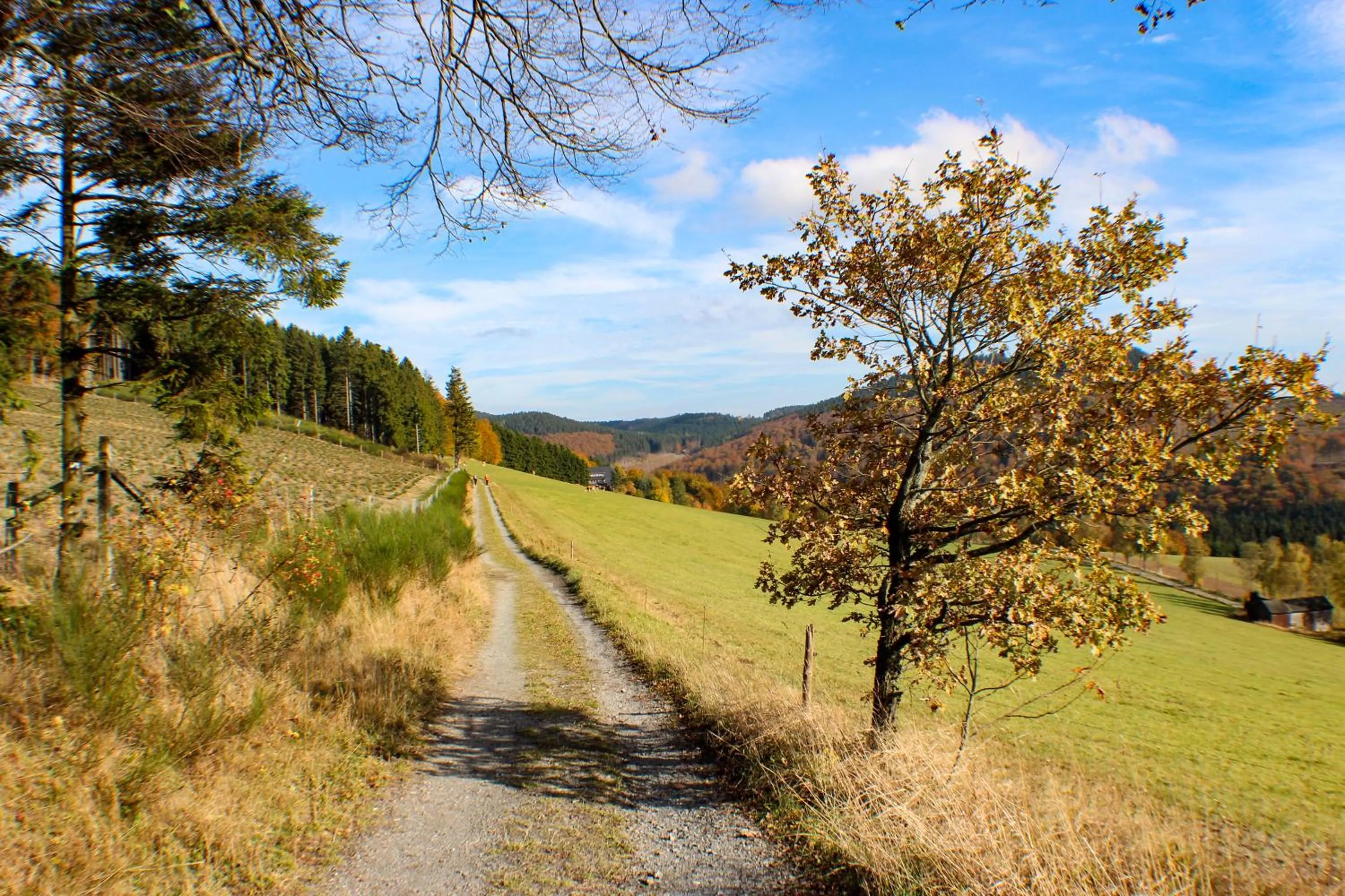 Hiking in Gasthof Braun
