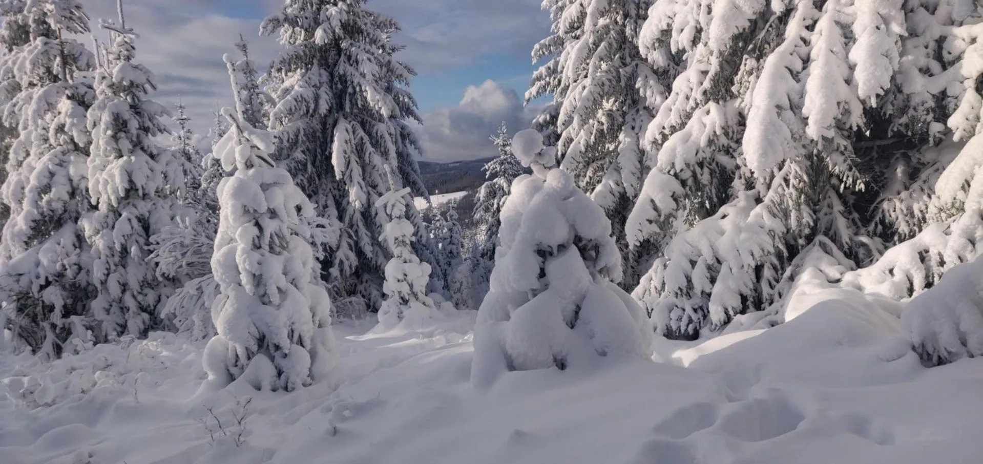 Winter in Gasthof Braun