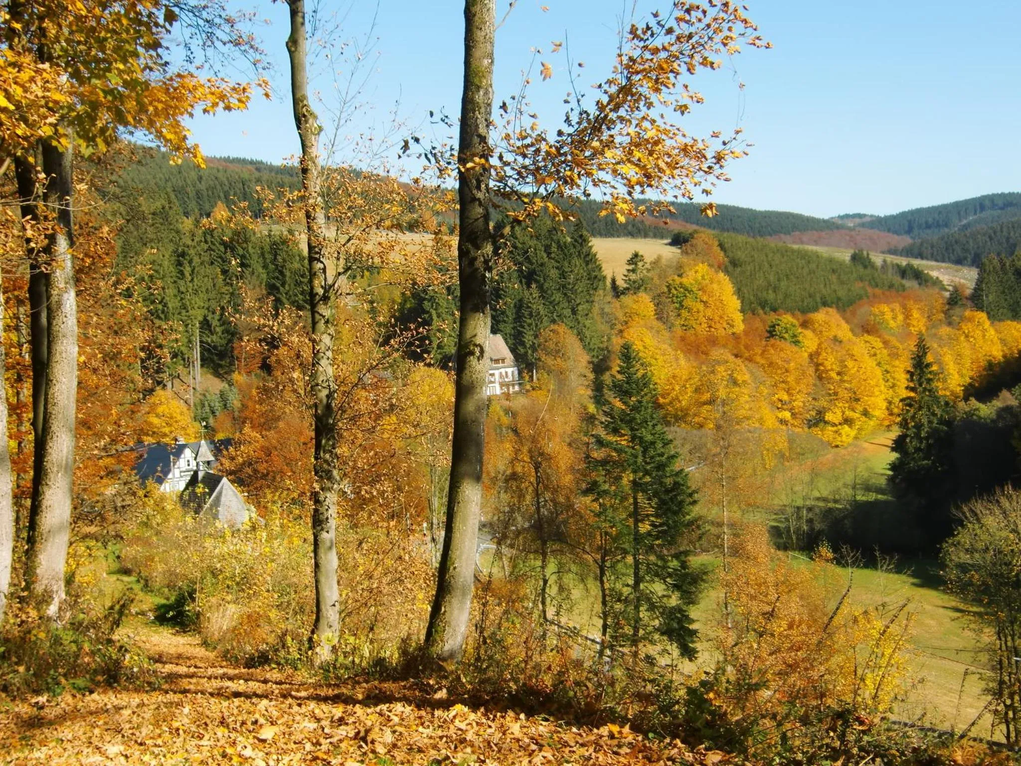 Hiking in Gasthof Braun