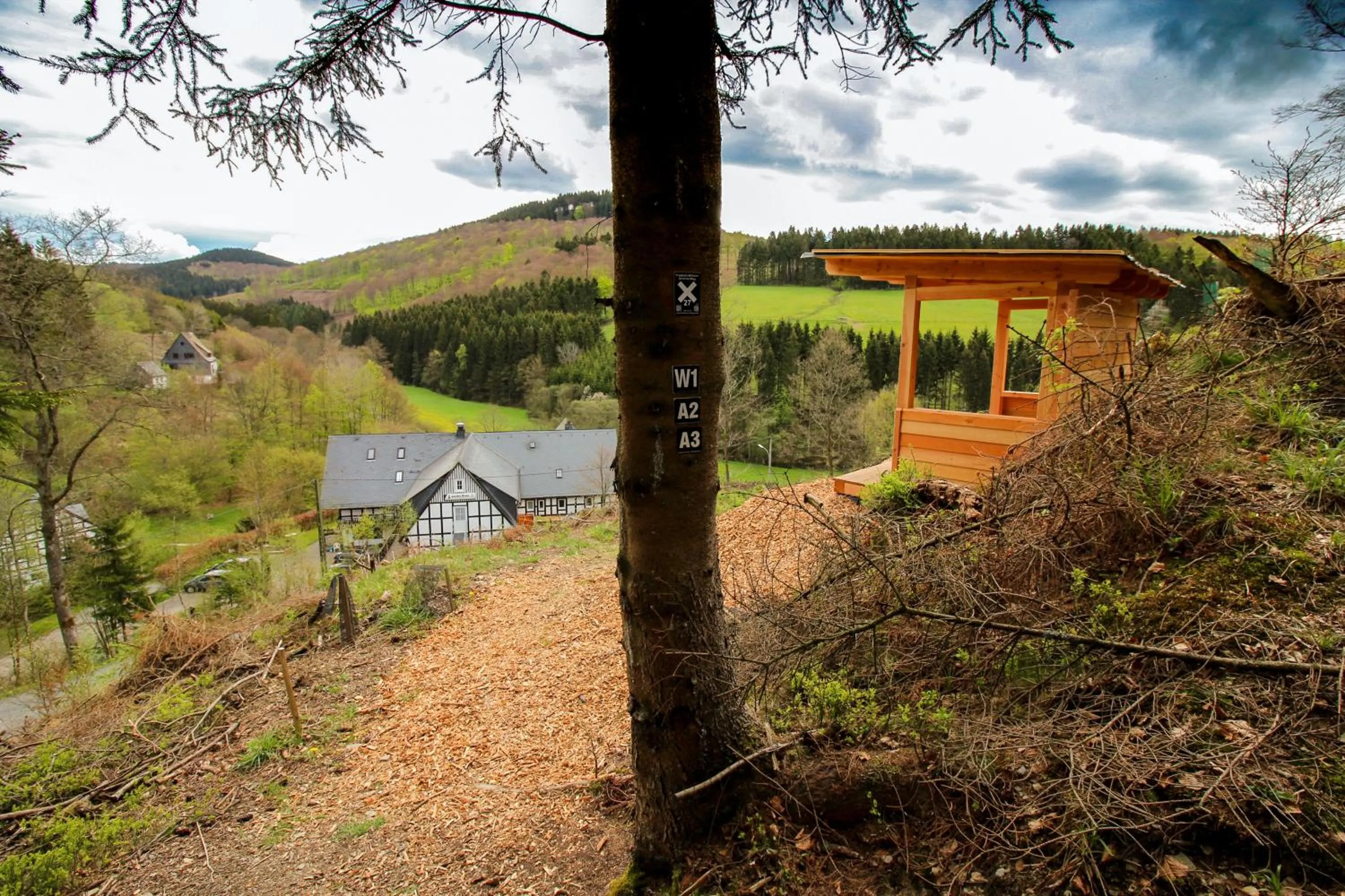 Hiking in Gasthof Braun
