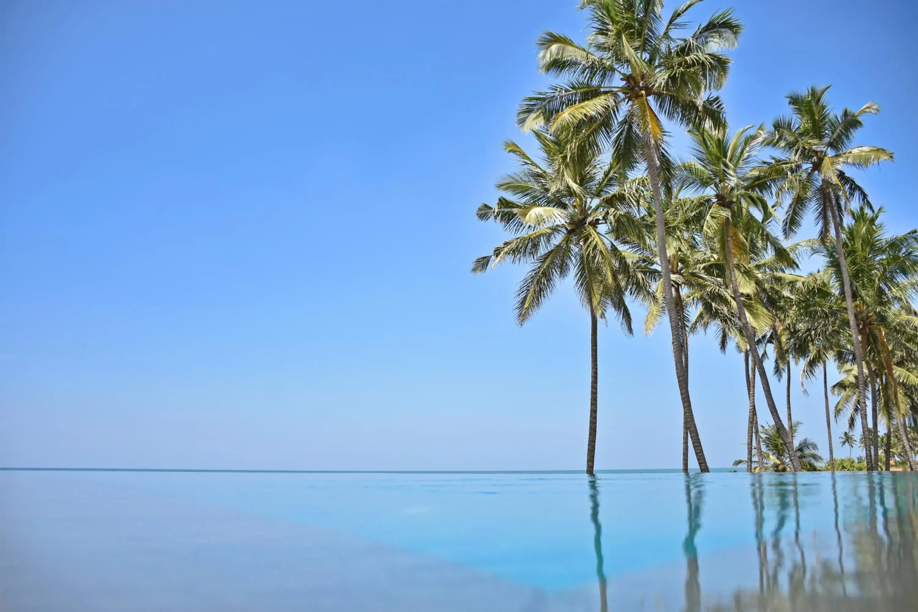 Swimming pool in Wattura Resort & Spa Swimming pool in Wattura Resort & Spa