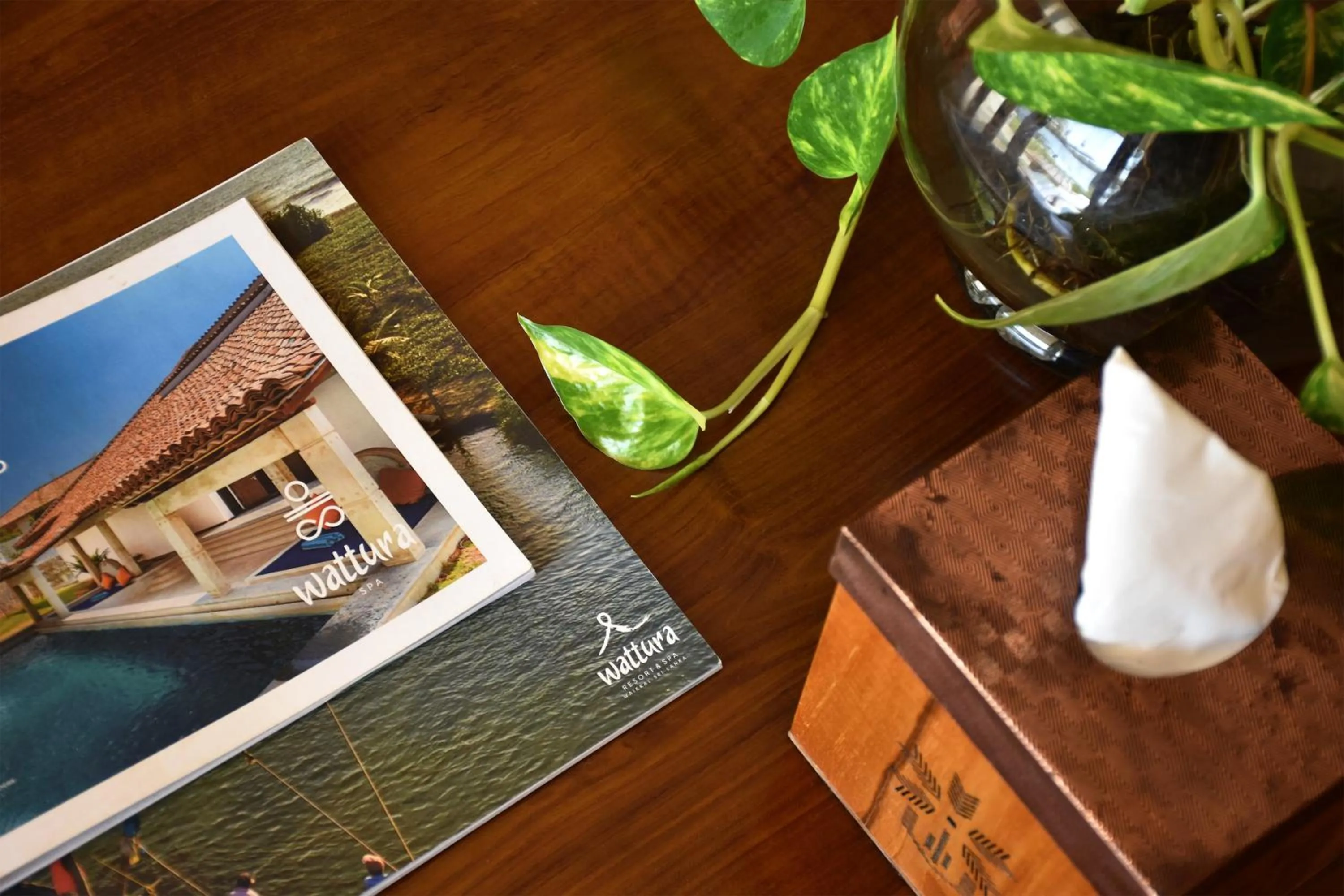 Decorative detail in Wattura Resort & Spa