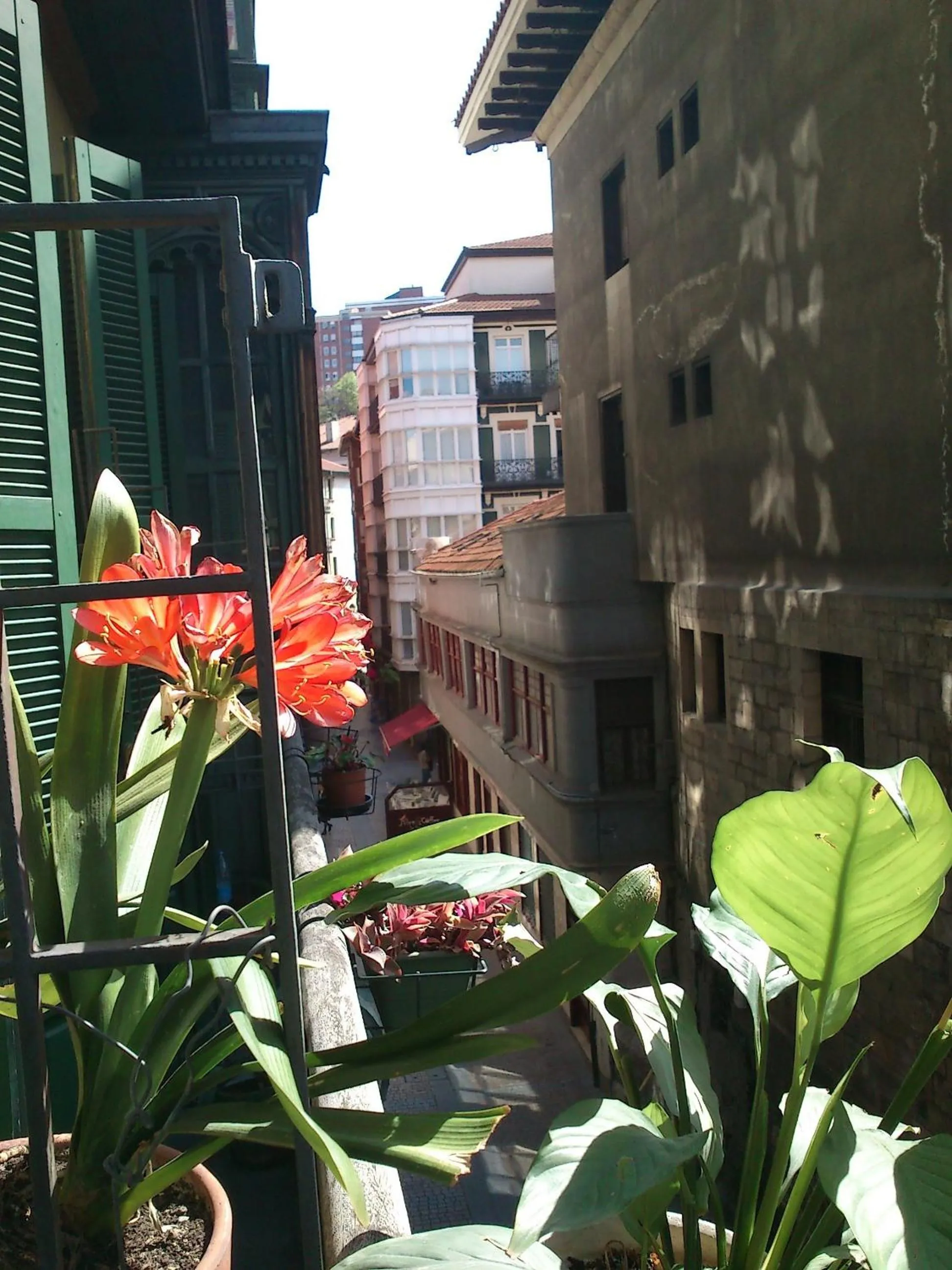 Balcony/Terrace in Roquefer Bilbao Central Rooms
