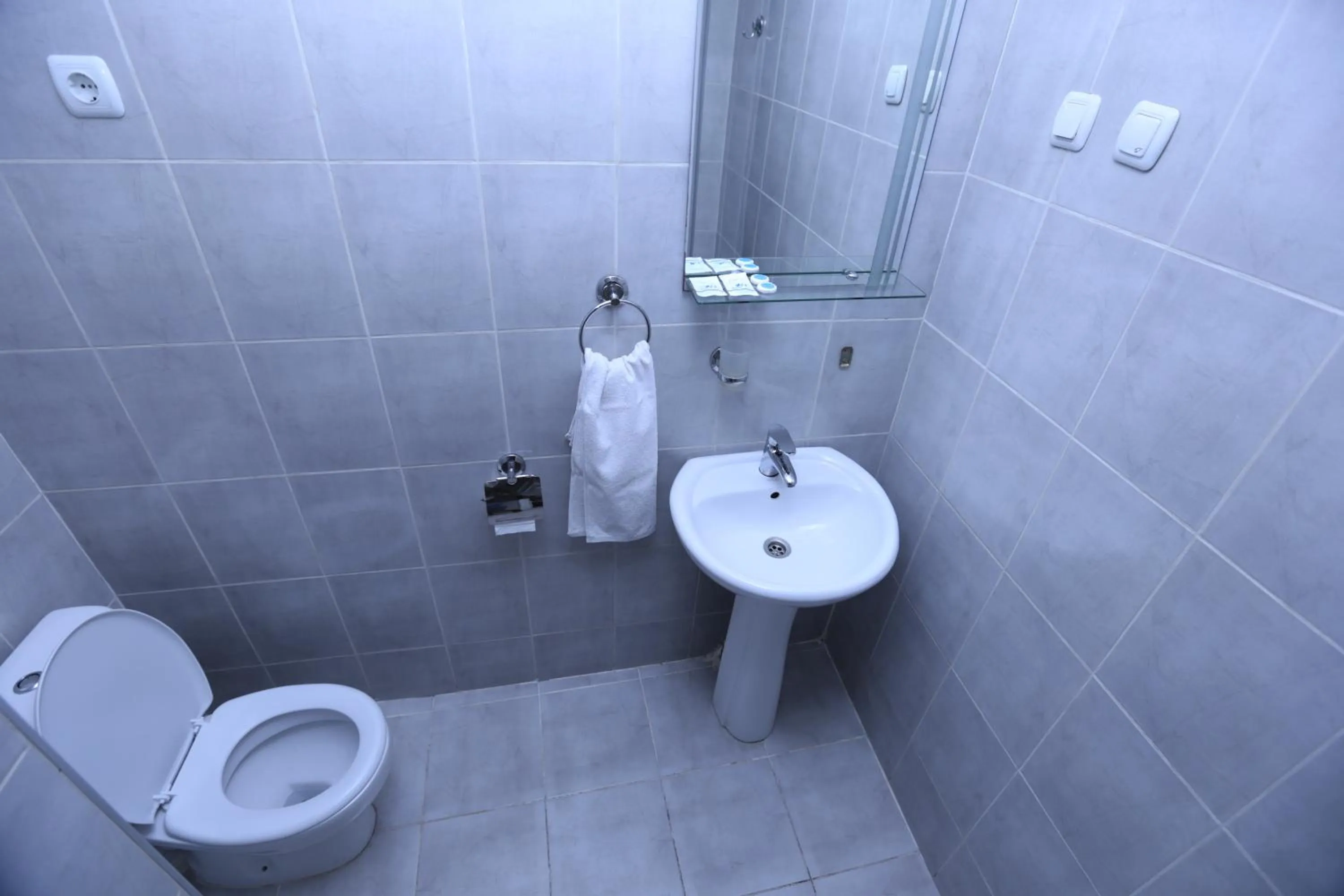 Toilet in Ortachala Palace