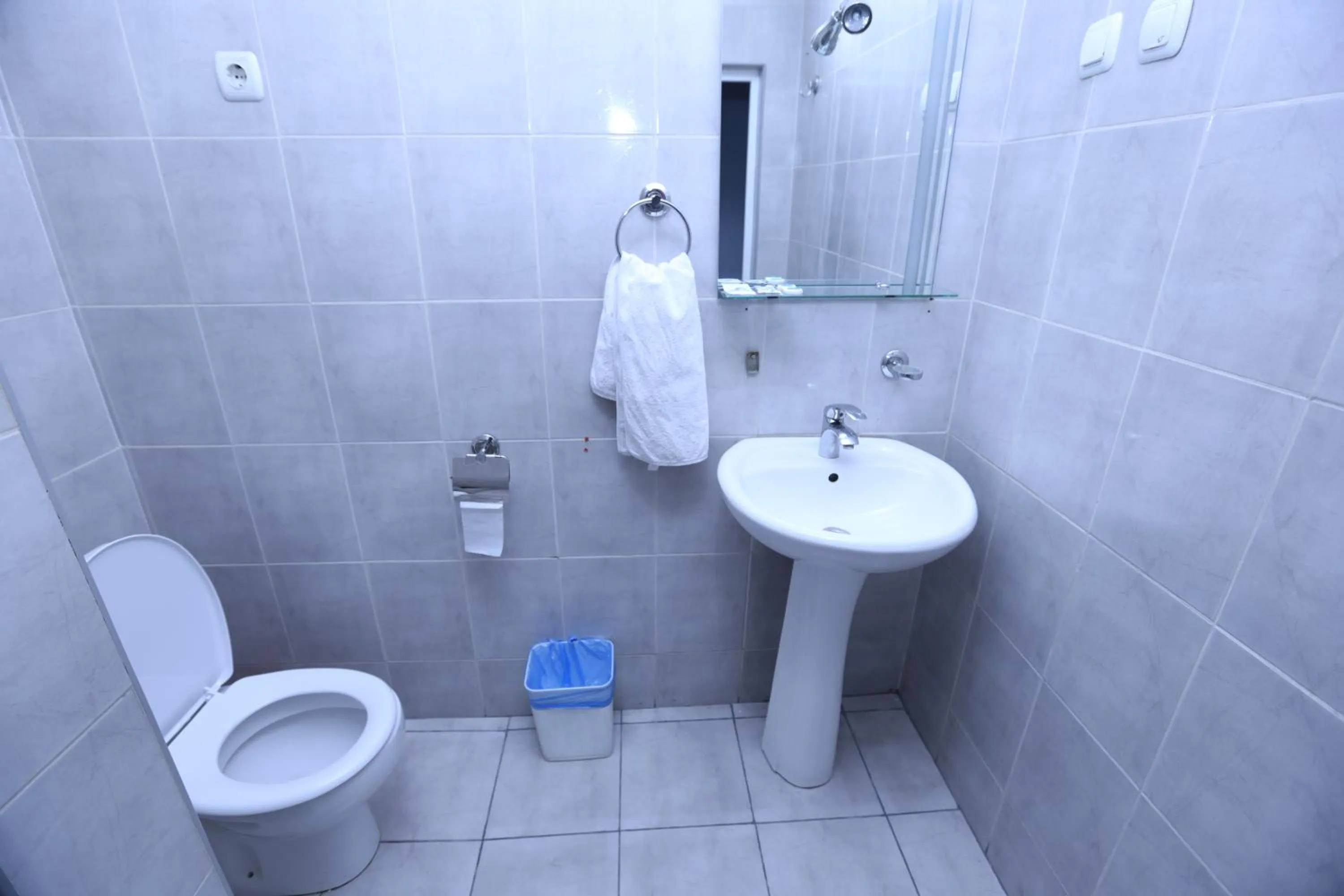 Toilet in Ortachala Palace