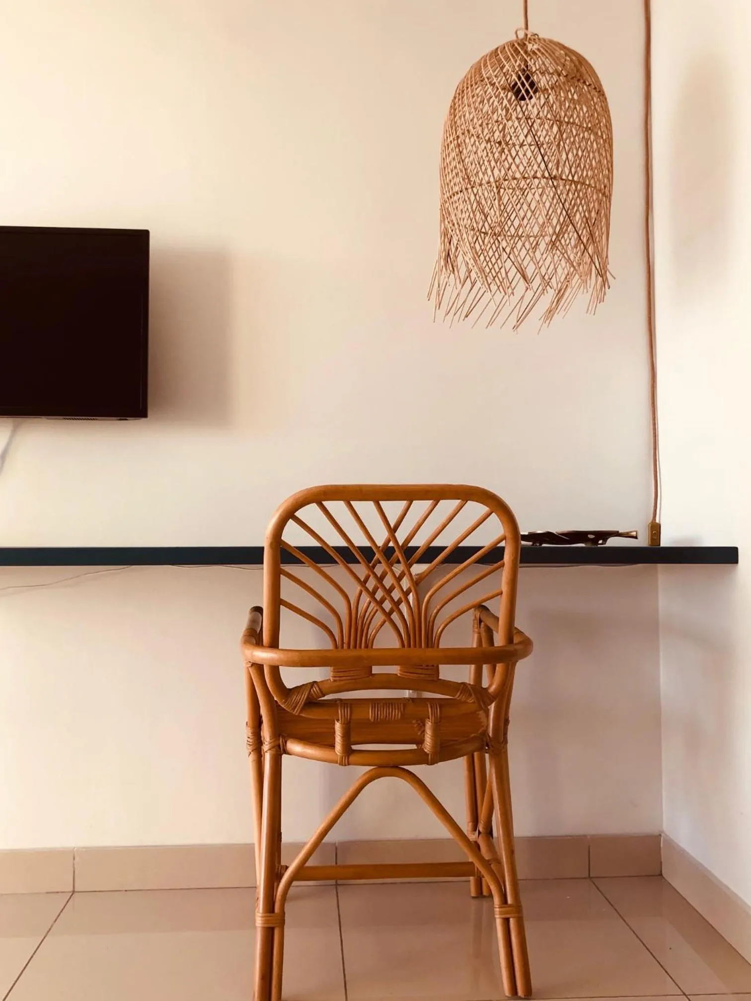 TV and multimedia in Hotel Pelican