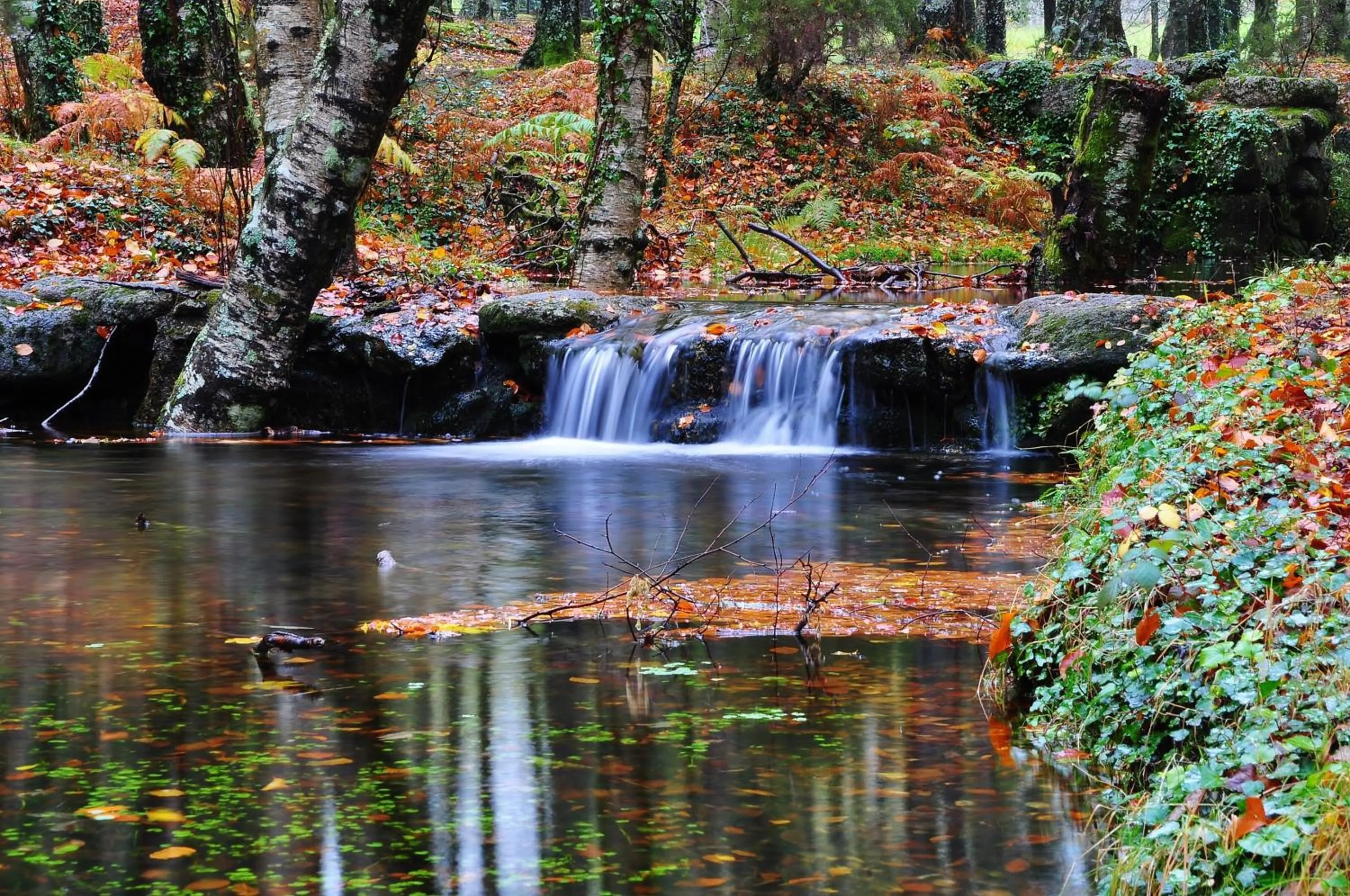 Other in Adelaide Hotel