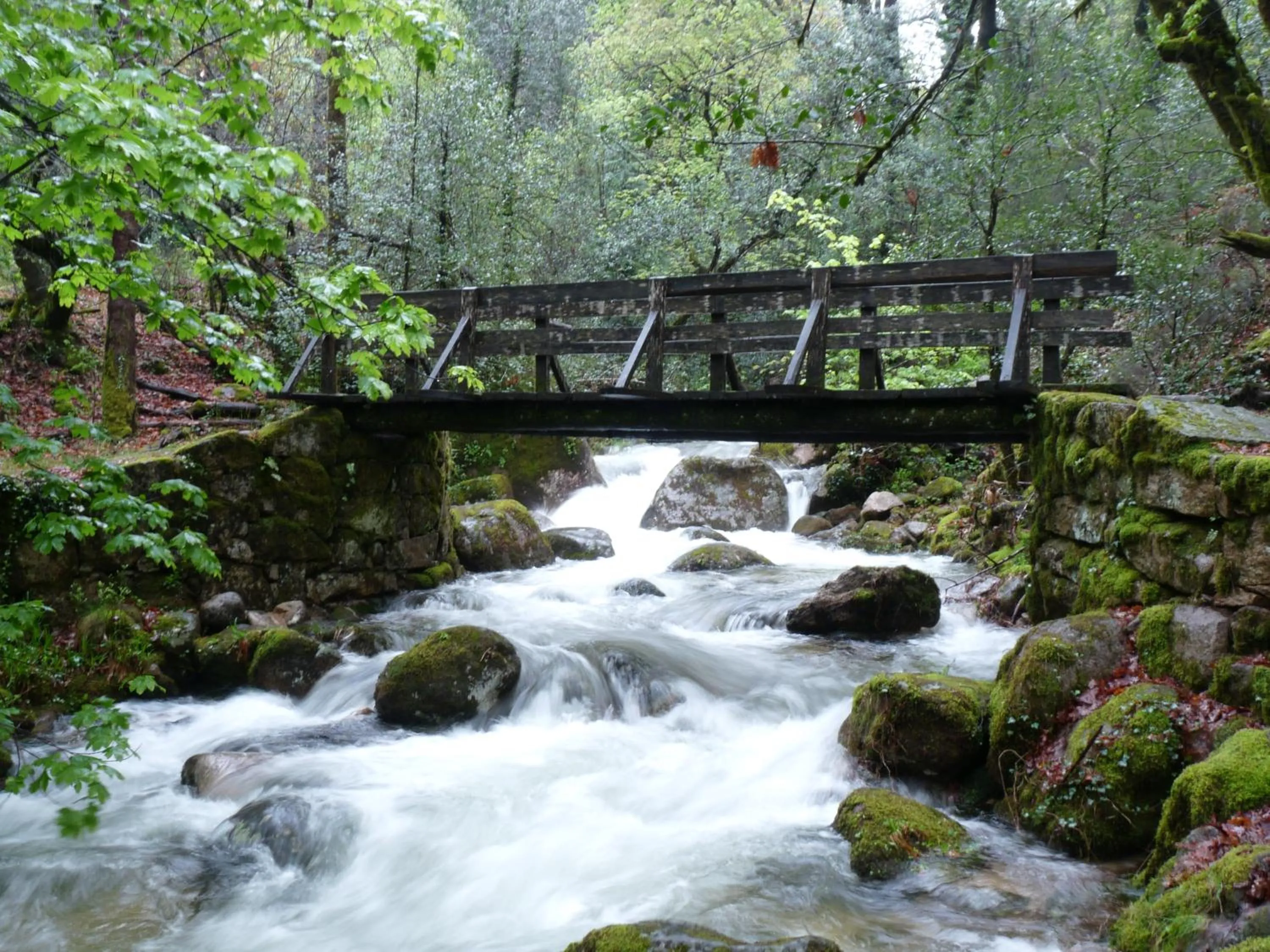 Area and facilities in Adelaide Hotel