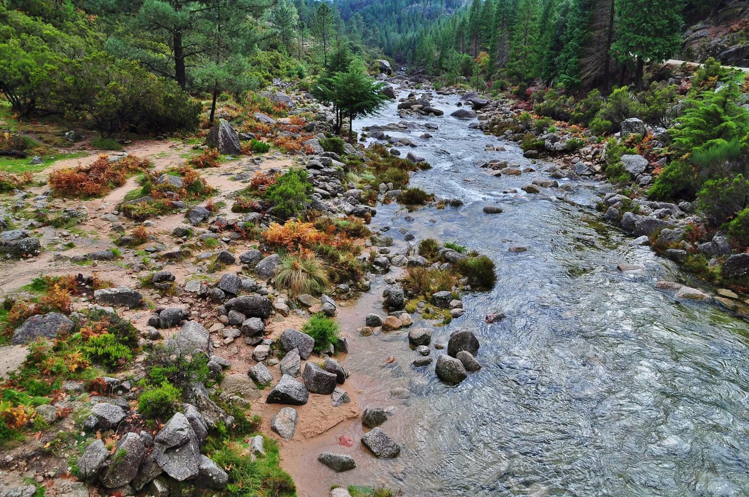 Natural landscape in Adelaide Hotel