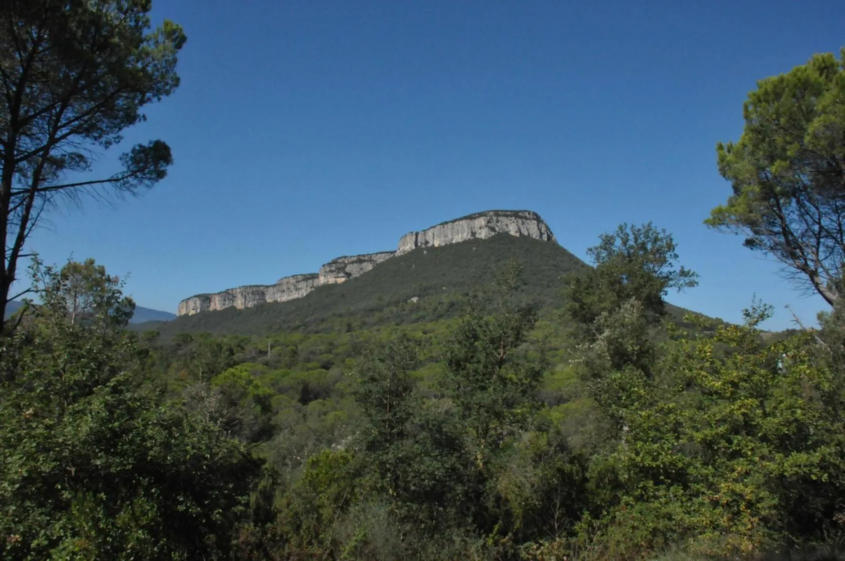 Natural landscape in Glamping Can Bora Lodges