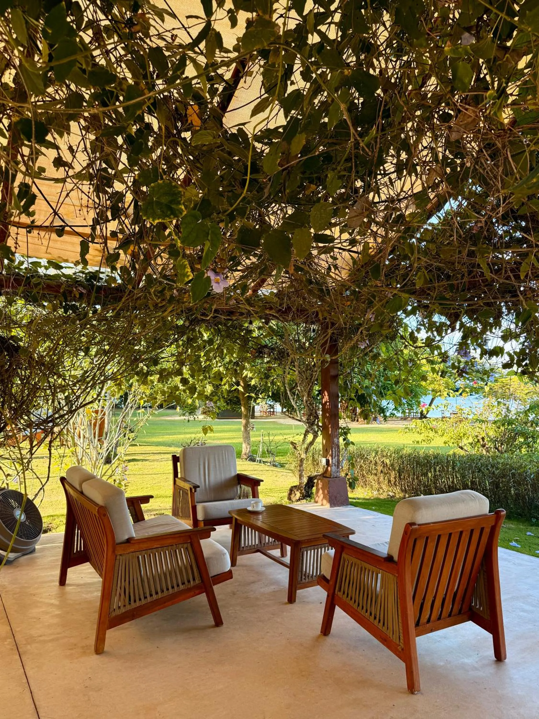 Area and facilities in OPacifico Hotel Boutique