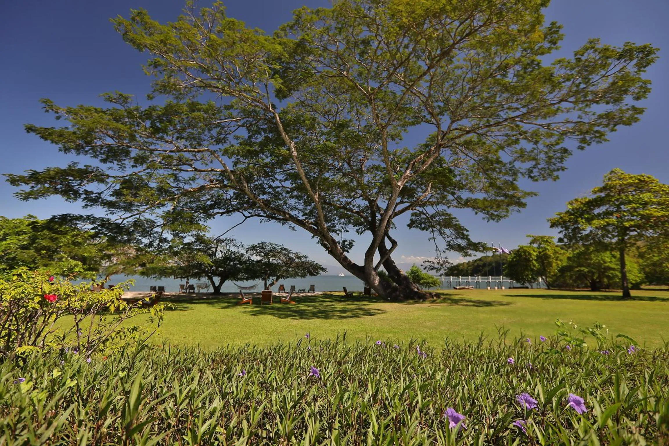 Garden in OPacifico Hotel Boutique