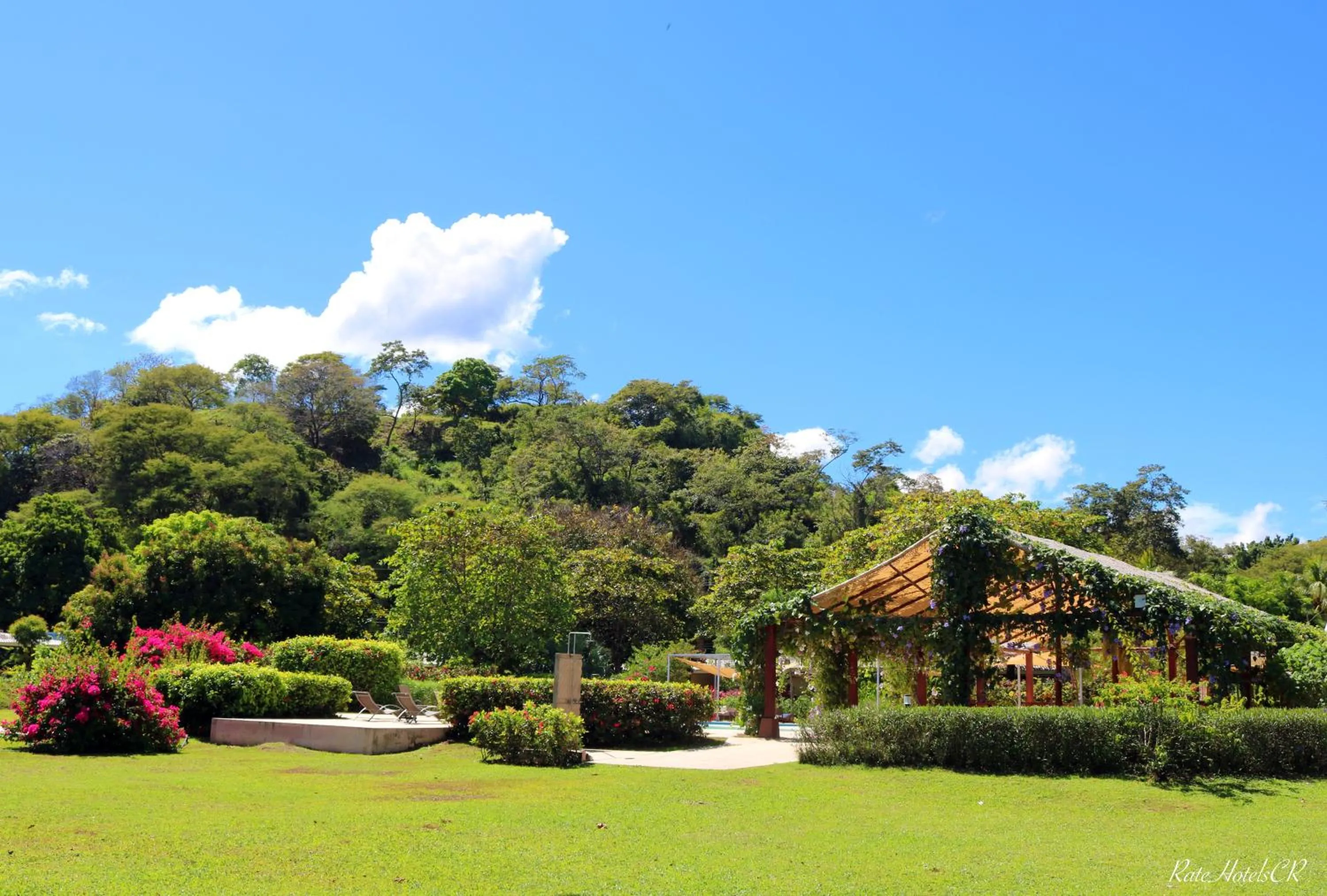 Off site in OPacifico Hotel Boutique