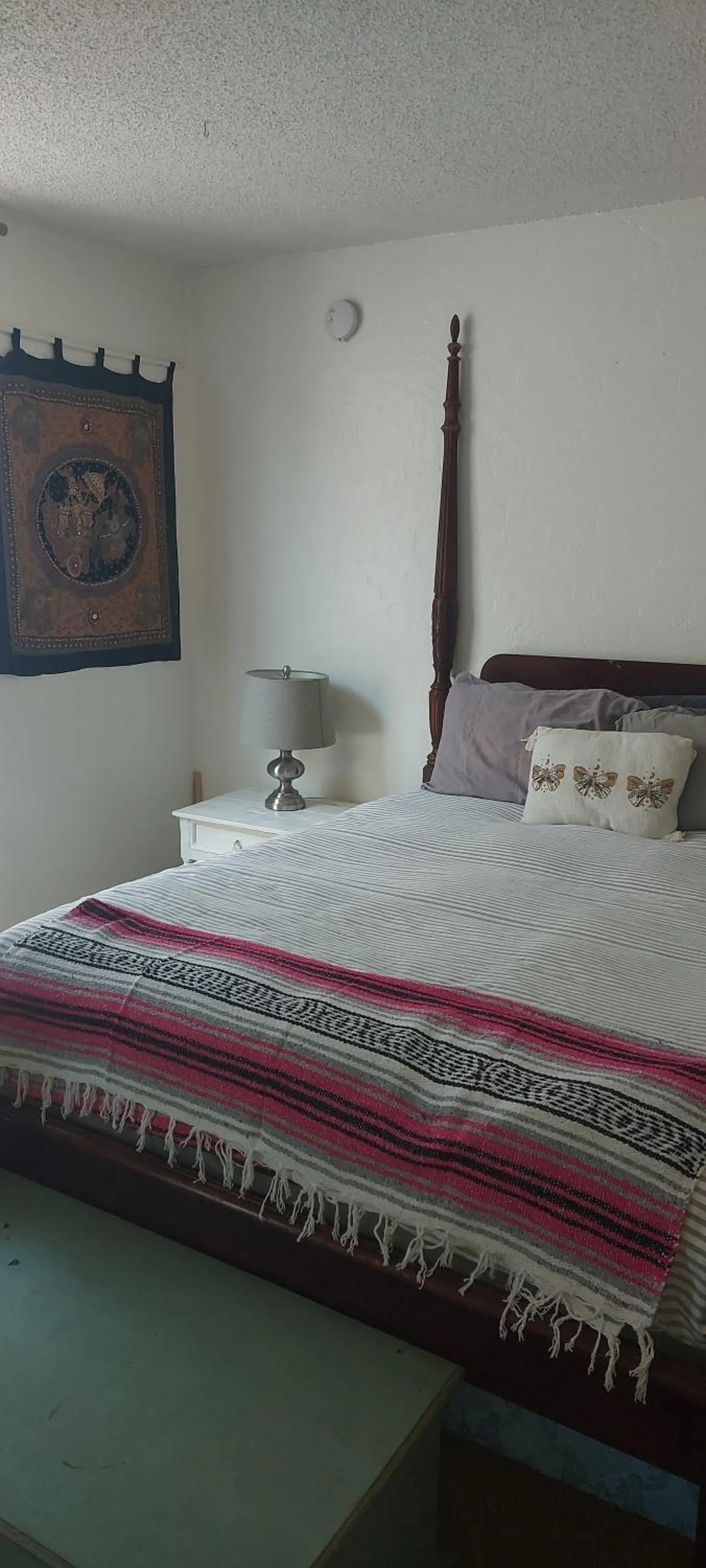 Bed in Ocean Front Vortex Female Hostel private rooms Free bikes