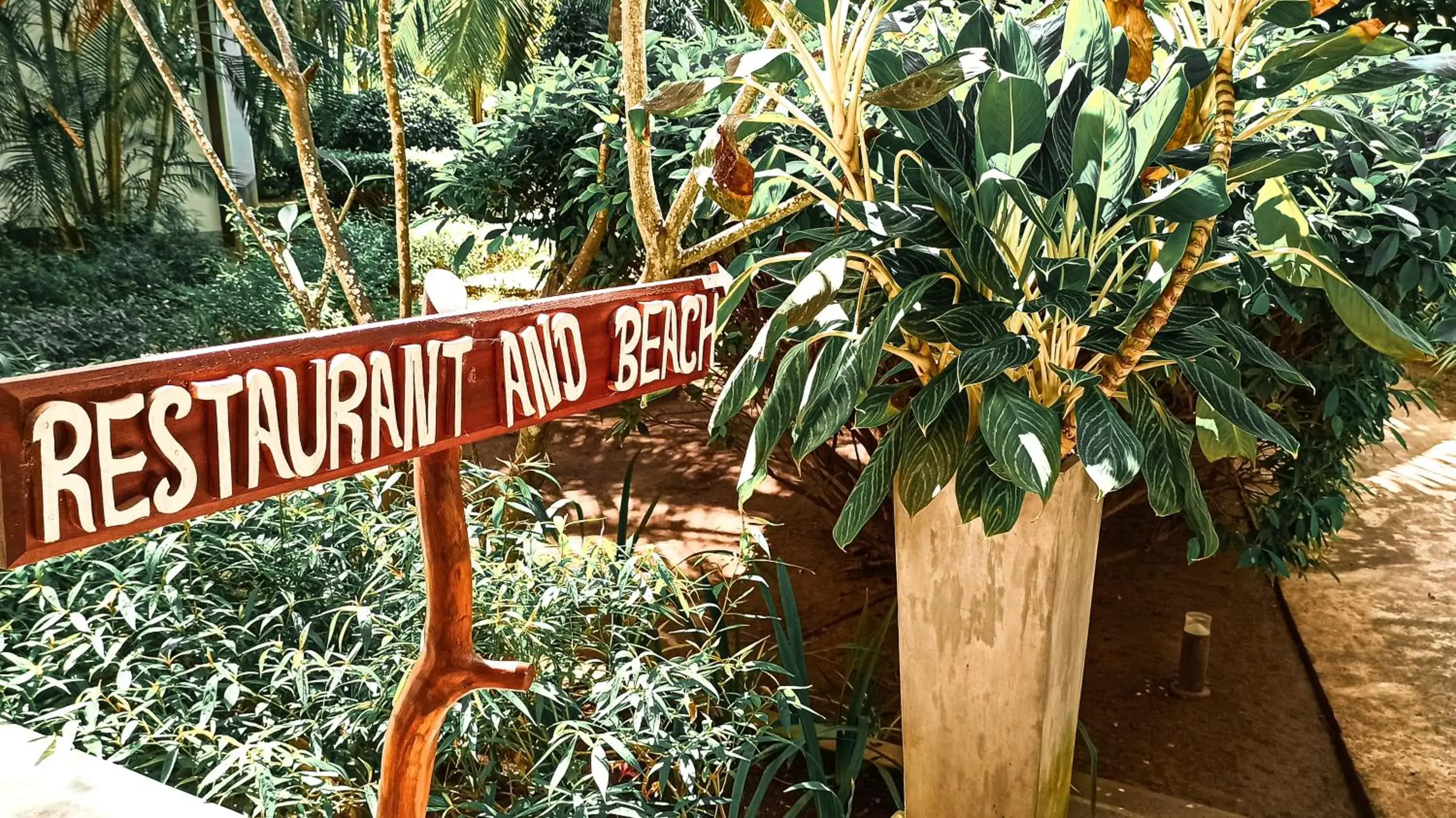 Restaurant/places to eat in Lagoon Paradise Beach Resort Restaurant/places to eat in Lagoon Paradise Beach Resort