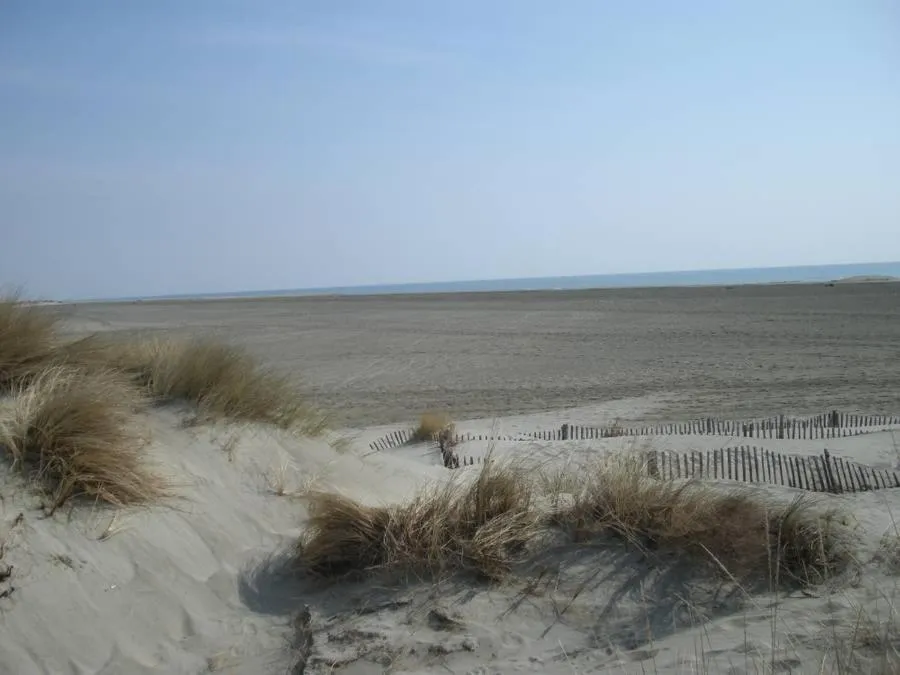 Hôtel Le Neptune en Camargue