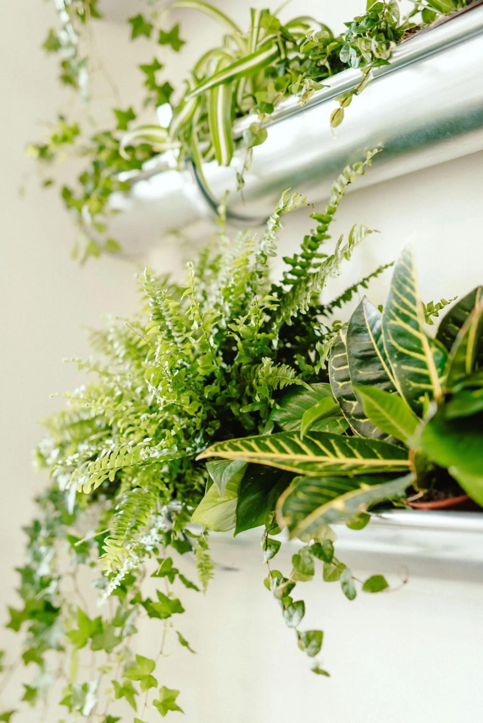 Decorative detail in Wake Up Wellness Hostel