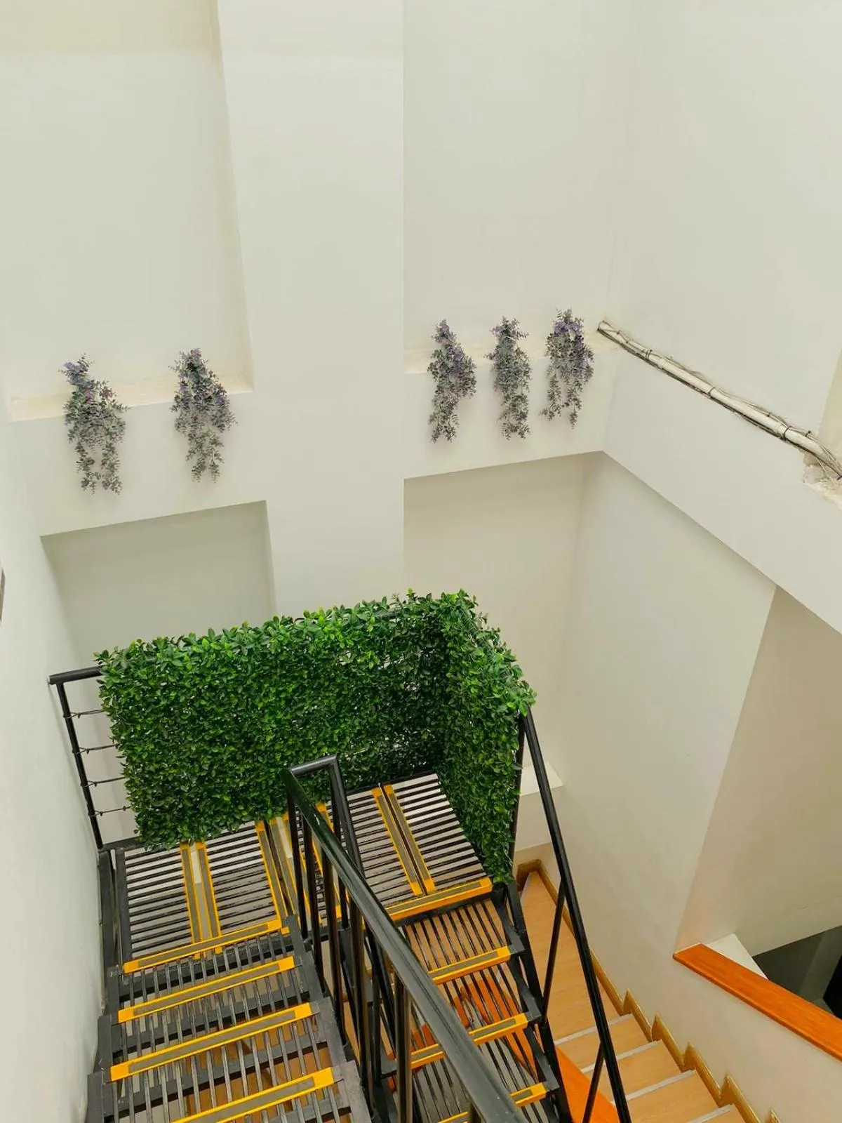 TAMA Hotel Granada Real Cali