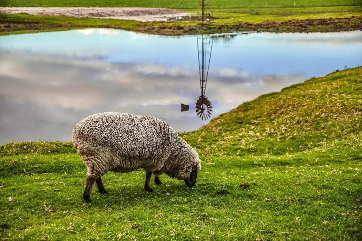 Natural landscape in BIG4 Taunton Farm