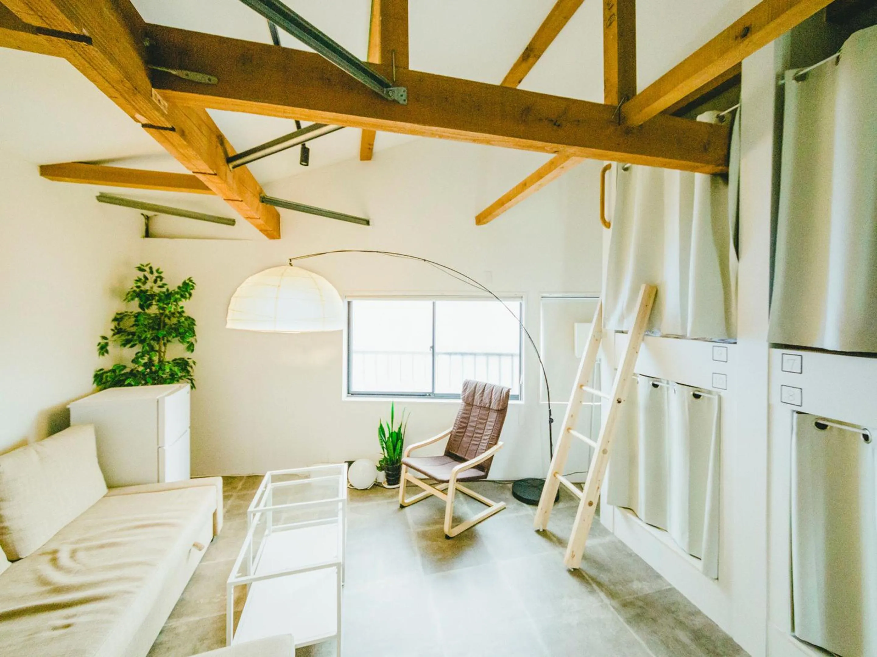 Photo of the whole room in Hippo Hostel and Cafe Bar