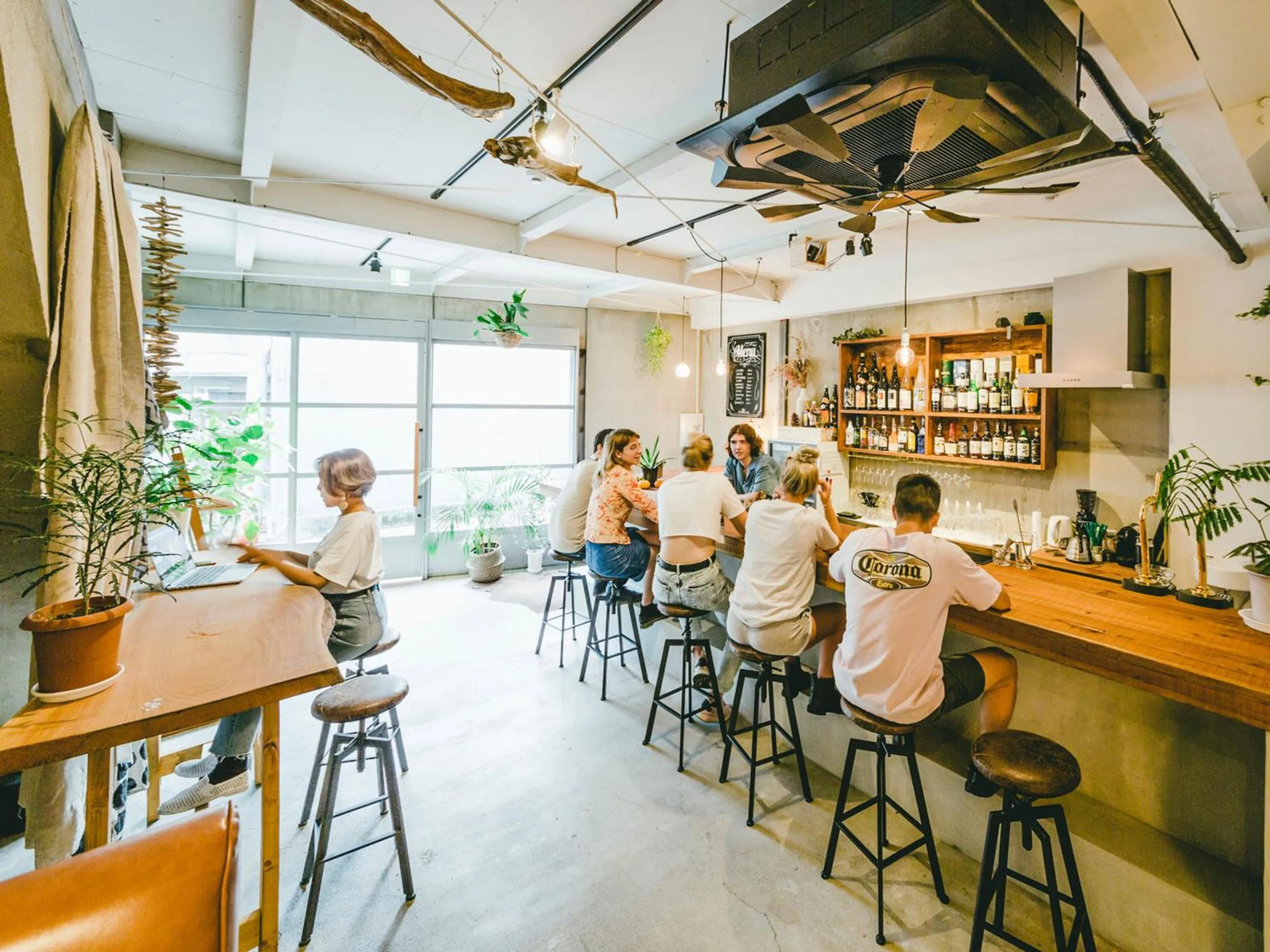 Lounge or bar in Hippo Hostel and Cafe Bar