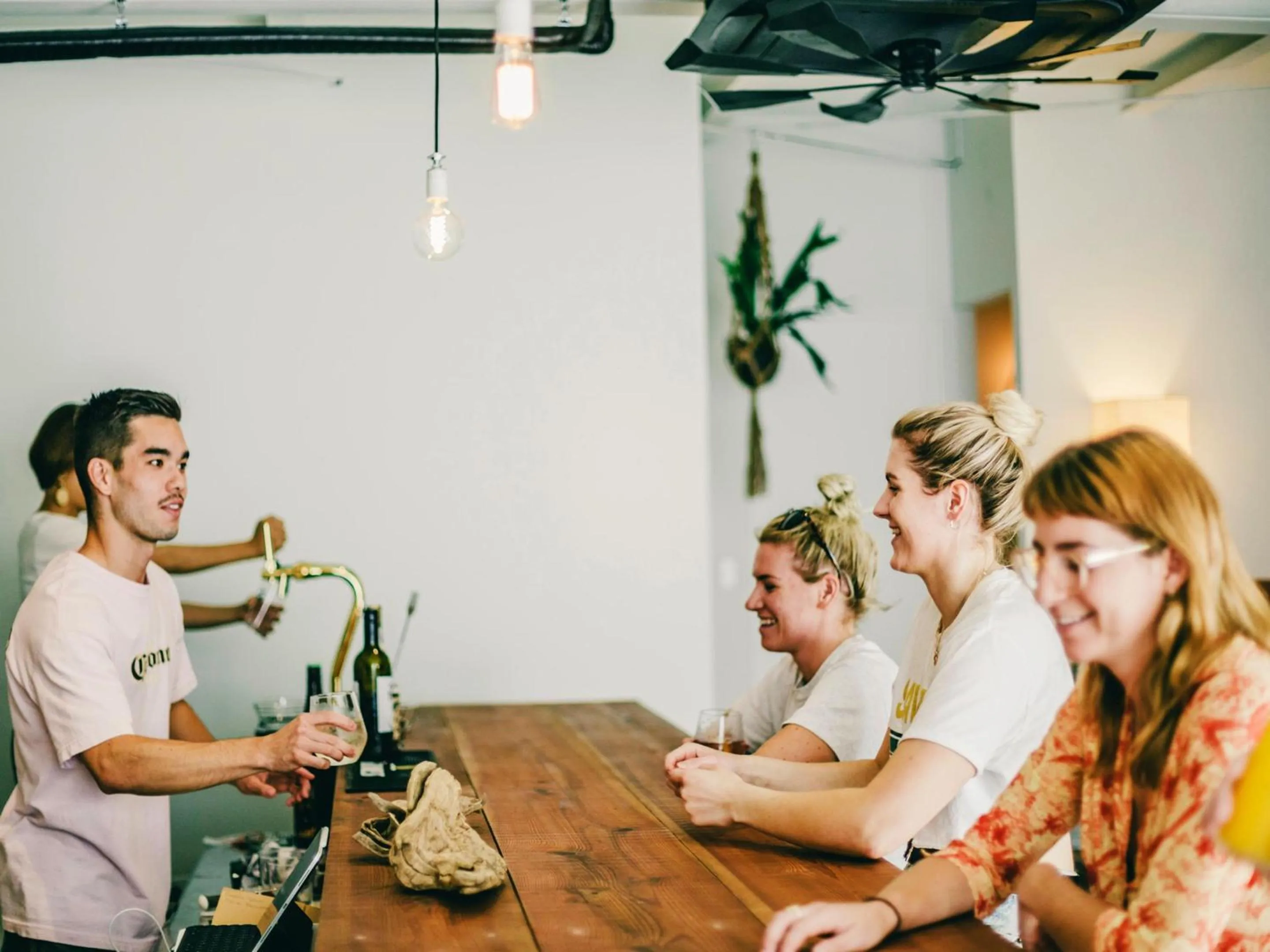 Lounge or bar in Hippo Hostel and Cafe Bar