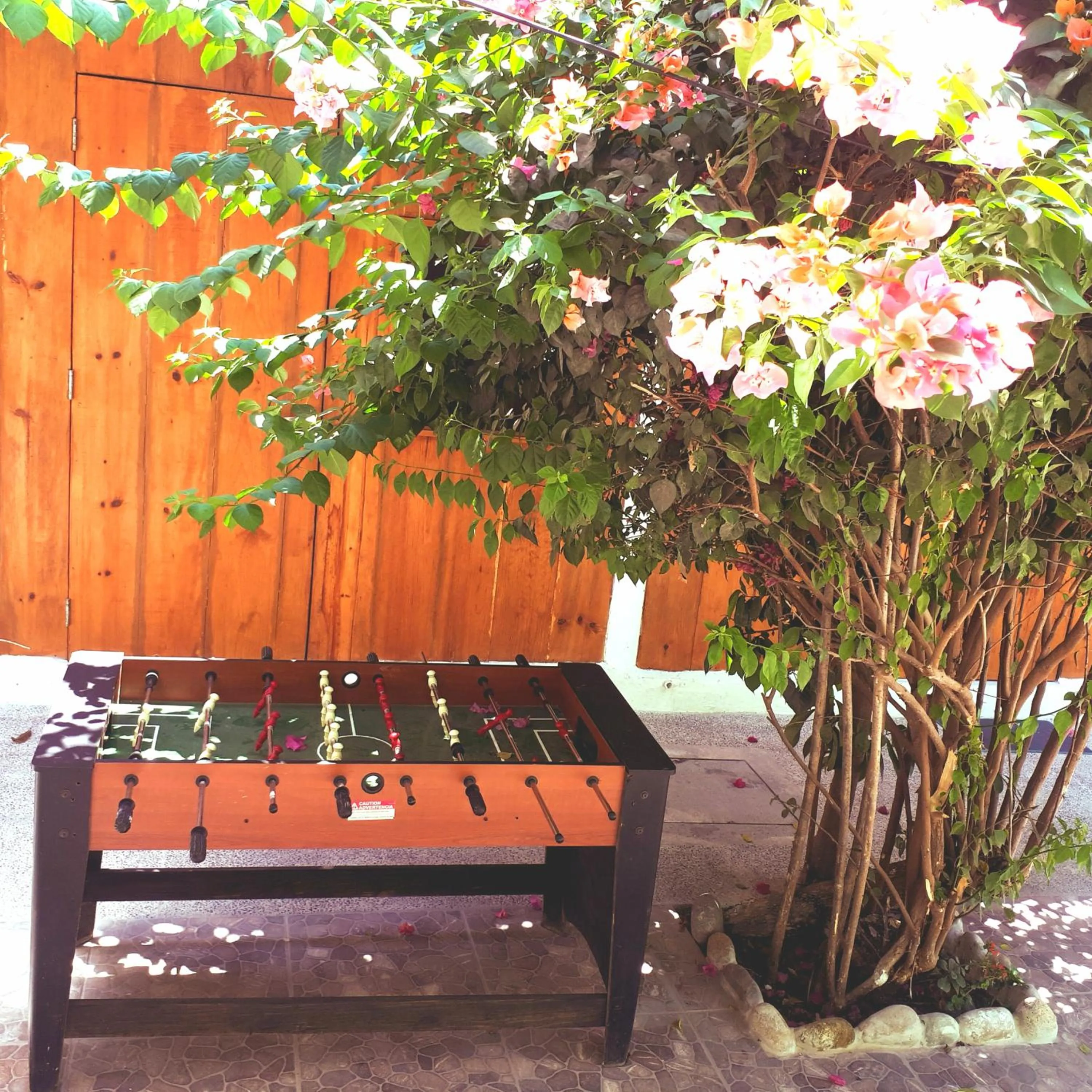 Activities in Casa Lao Centro