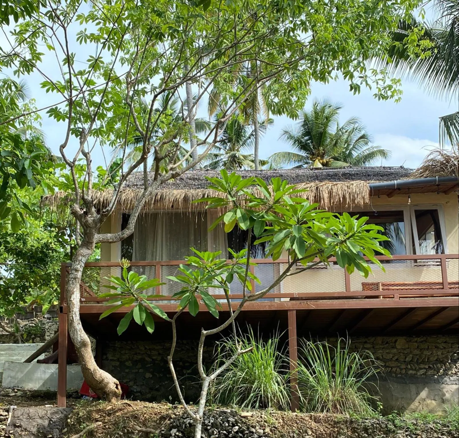 Property building in Gading Tree House