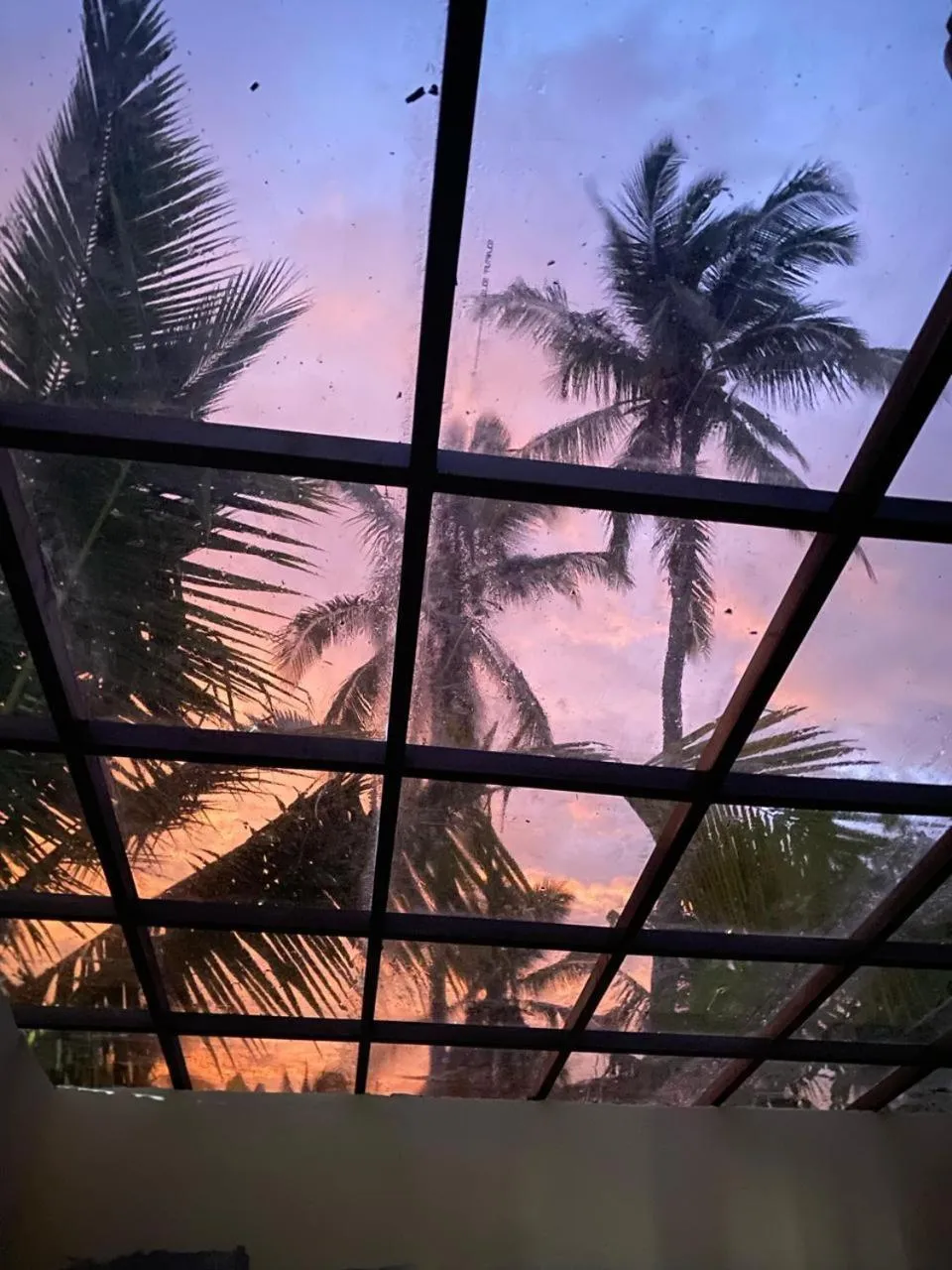 View (from property/room) in Gading Tree House