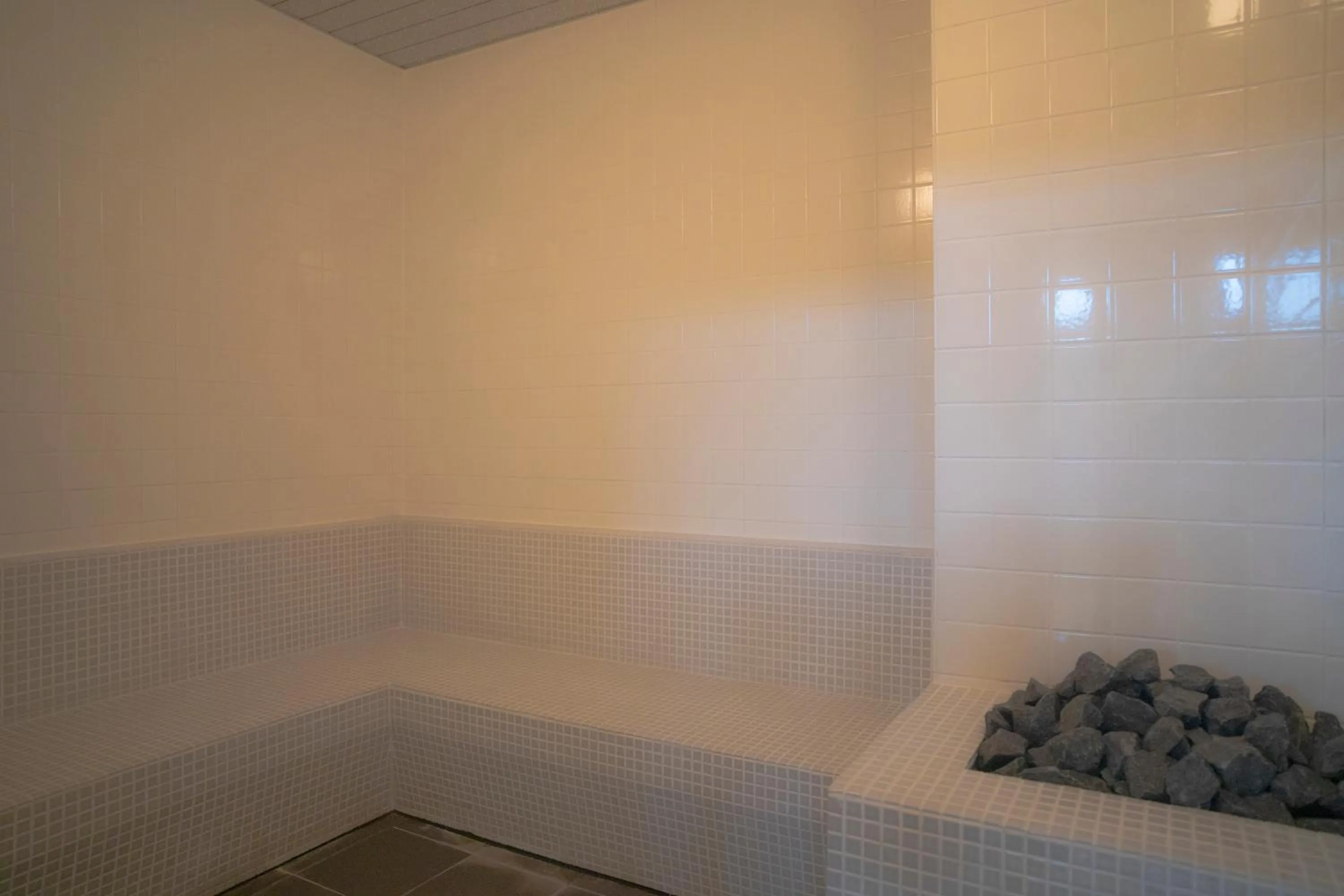 Sauna in MASCOS HOTEL Masuda Onsen