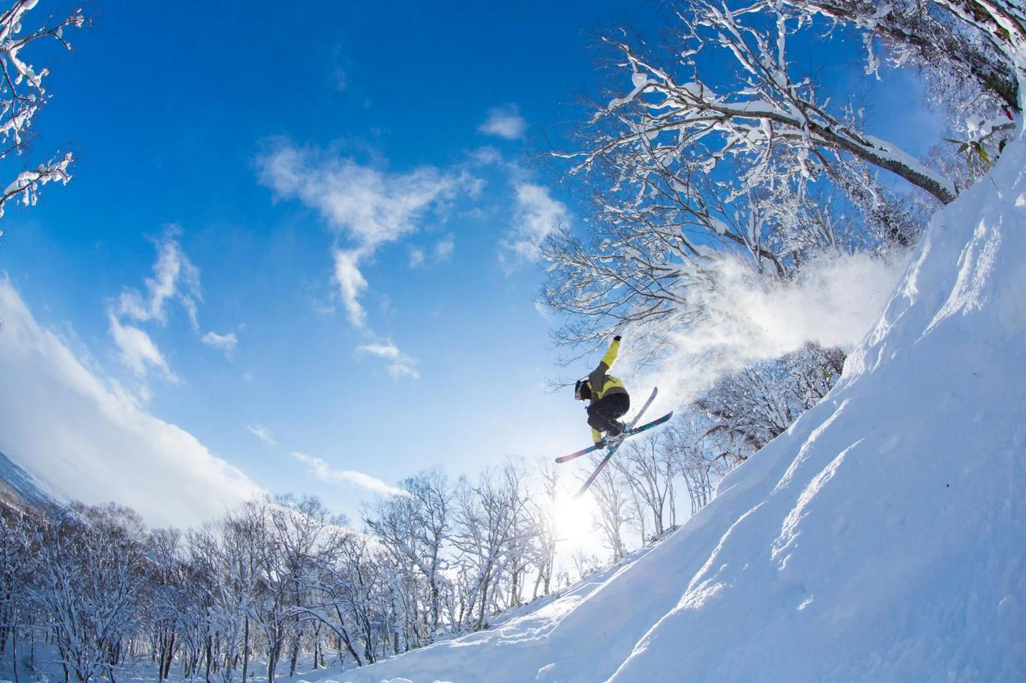 Activities in Midtown Niseko