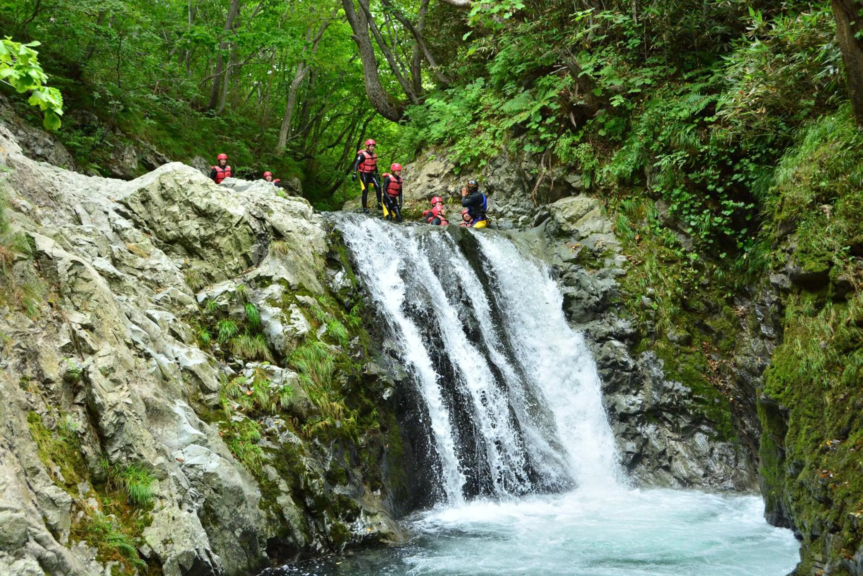 Natural landscape in Midtown Niseko