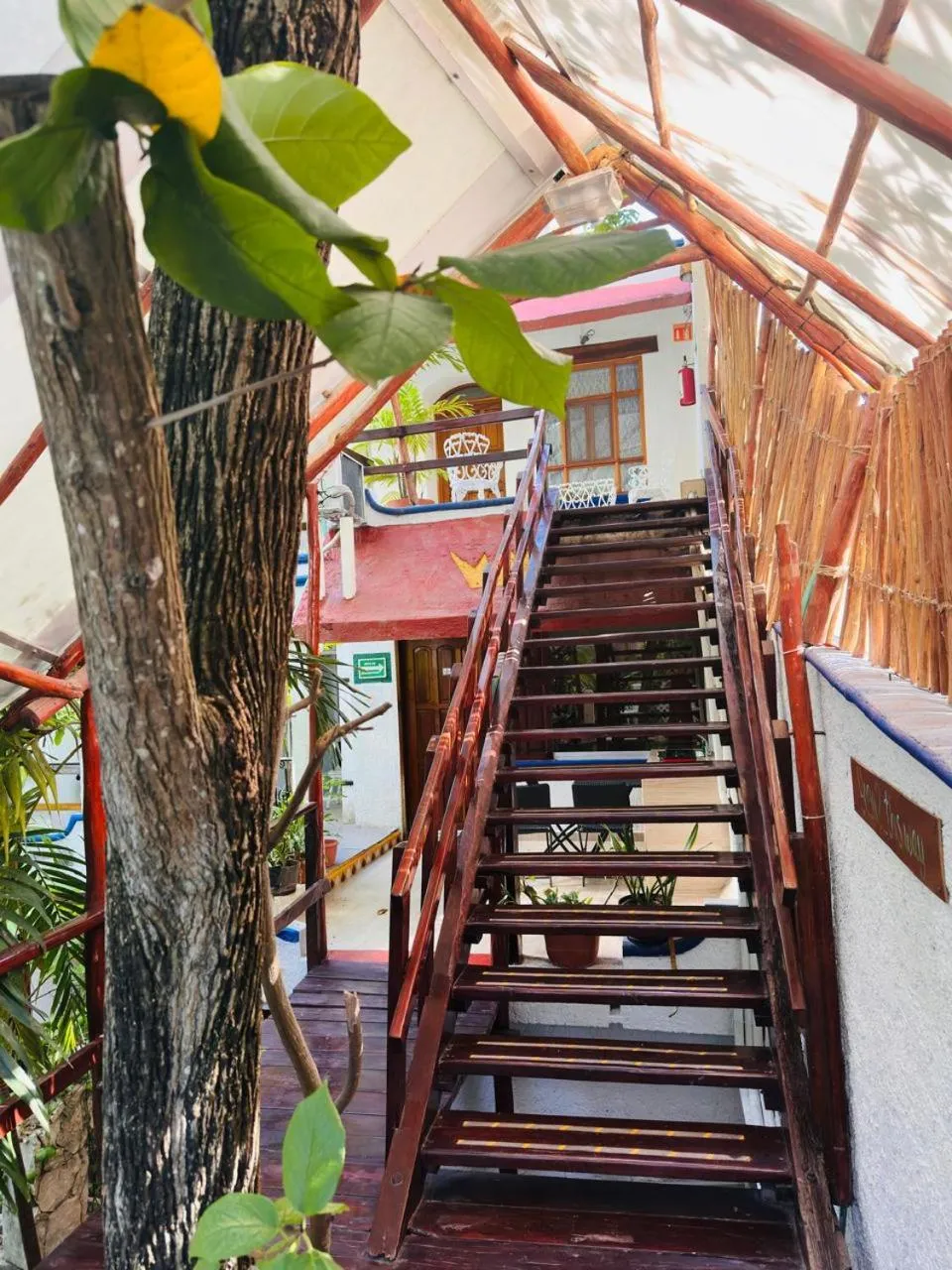 Property building in Eco-hotel El Rey del Caribe