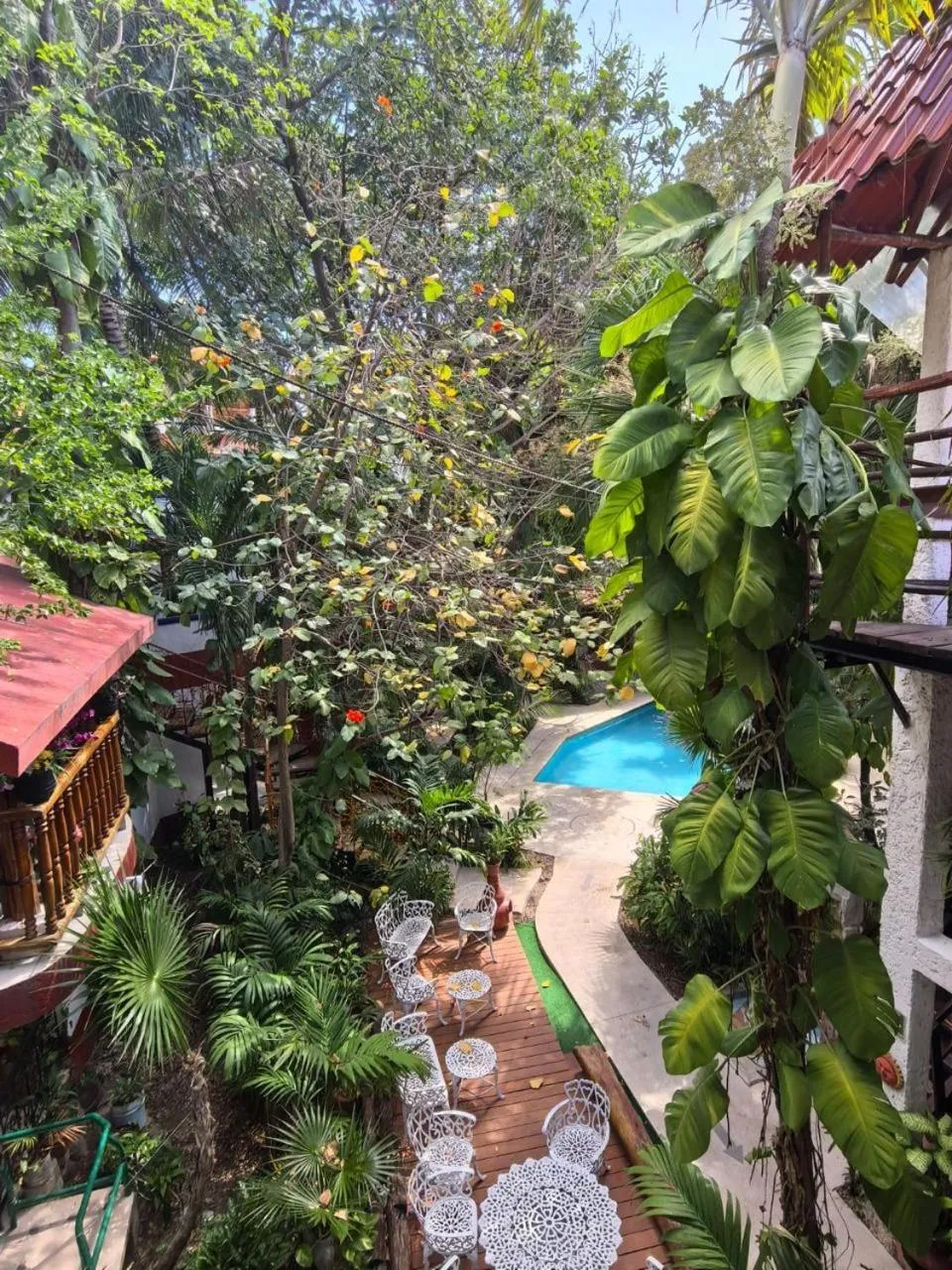 Garden in Eco-hotel El Rey del Caribe