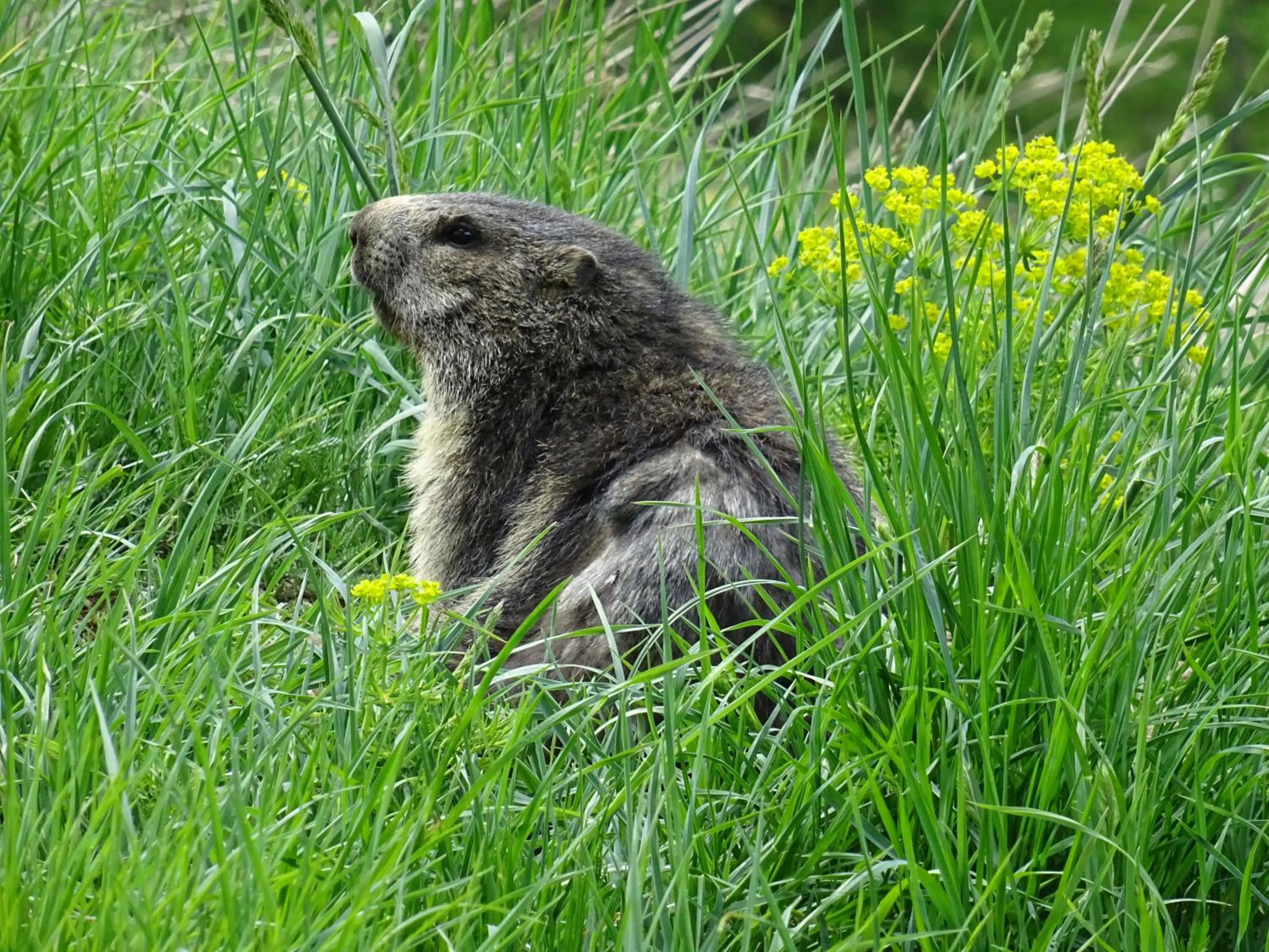 Hiking in Hotel Phoenix