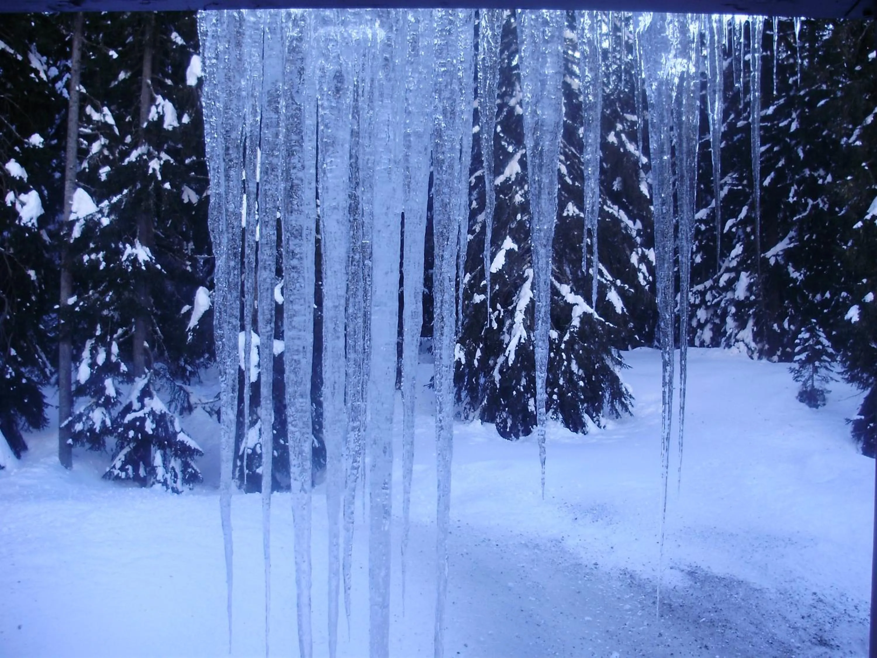 Winter in Multiproprietà Rio Falzè