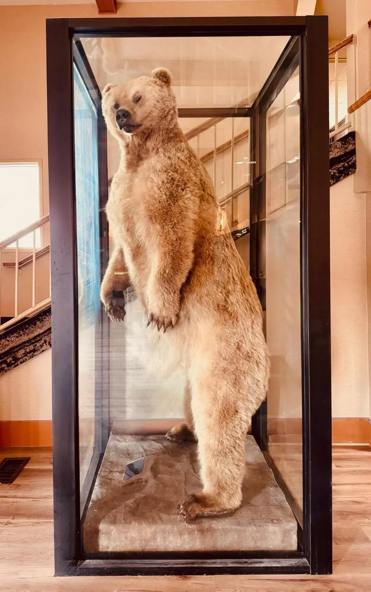 Lobby or reception in Wingate by Wyndham Anchorage Downtown - Ship Creek Lobby or reception in Wingate by Wyndham Anchorage Downtown - Ship Creek