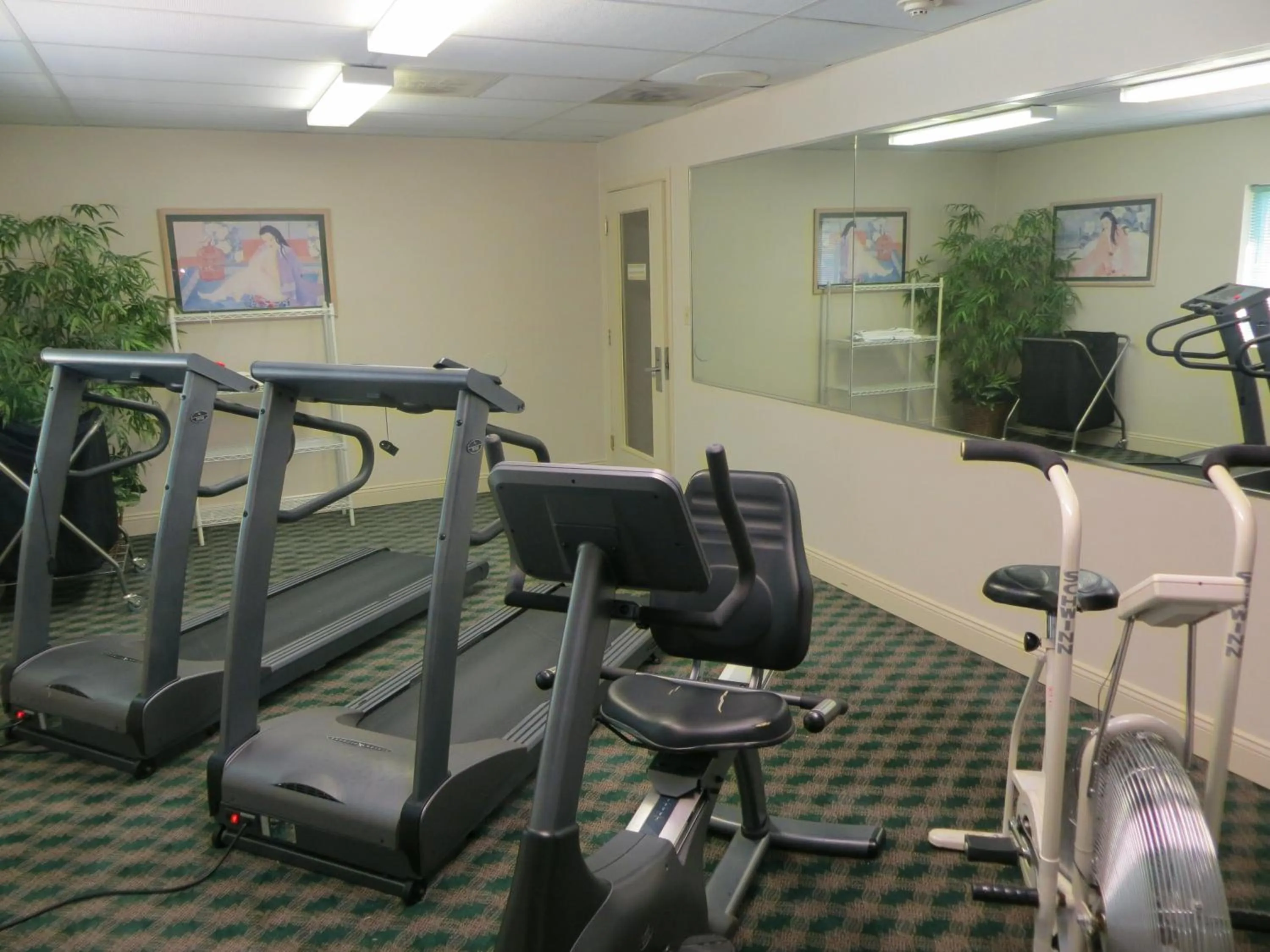 Fitness centre/facilities in Fairview Inn & Suites Mobile