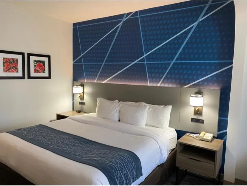 Bed in Comfort Inn Greenville I-65