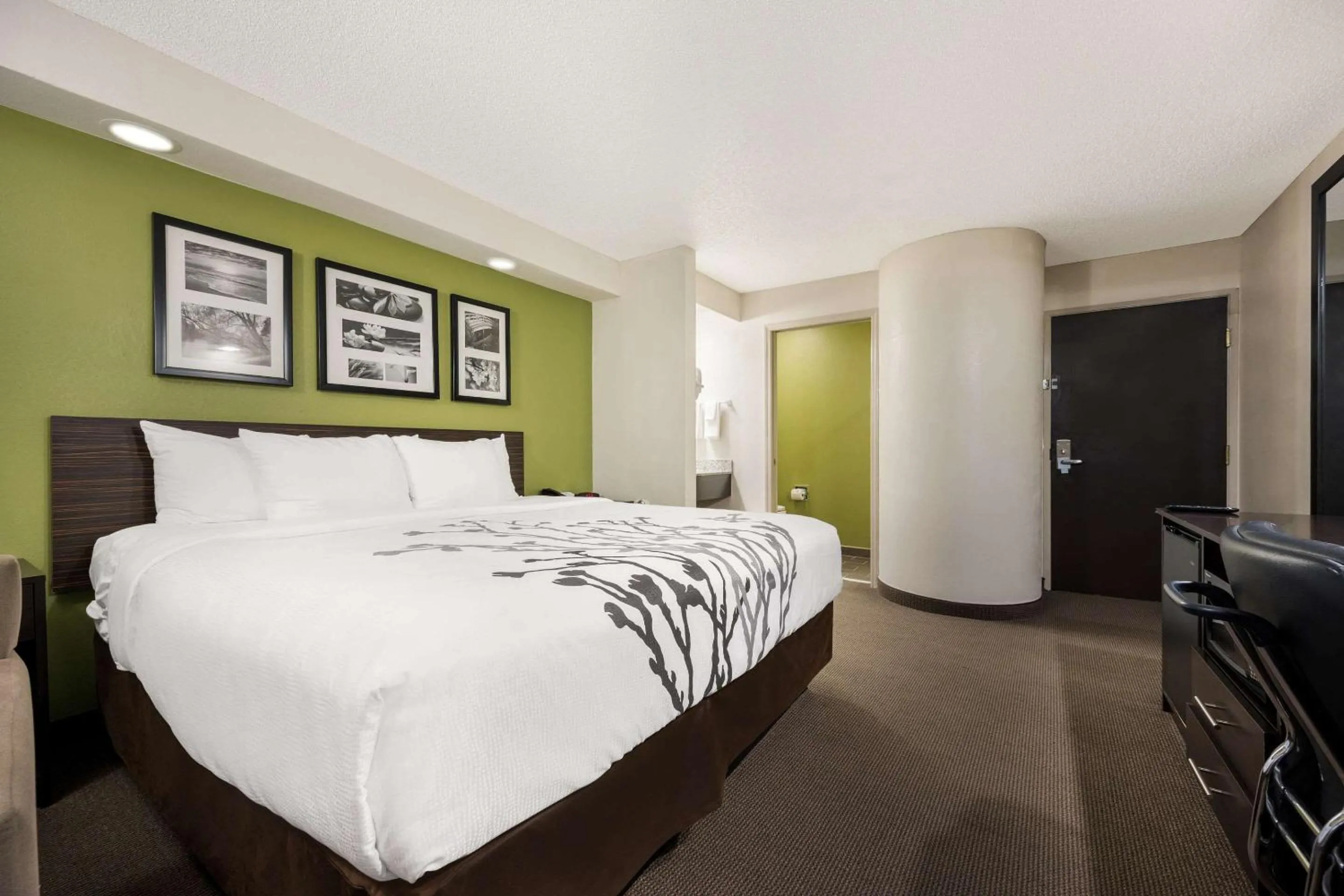 Bedroom, Bed in Sleep Inn Athens I-65