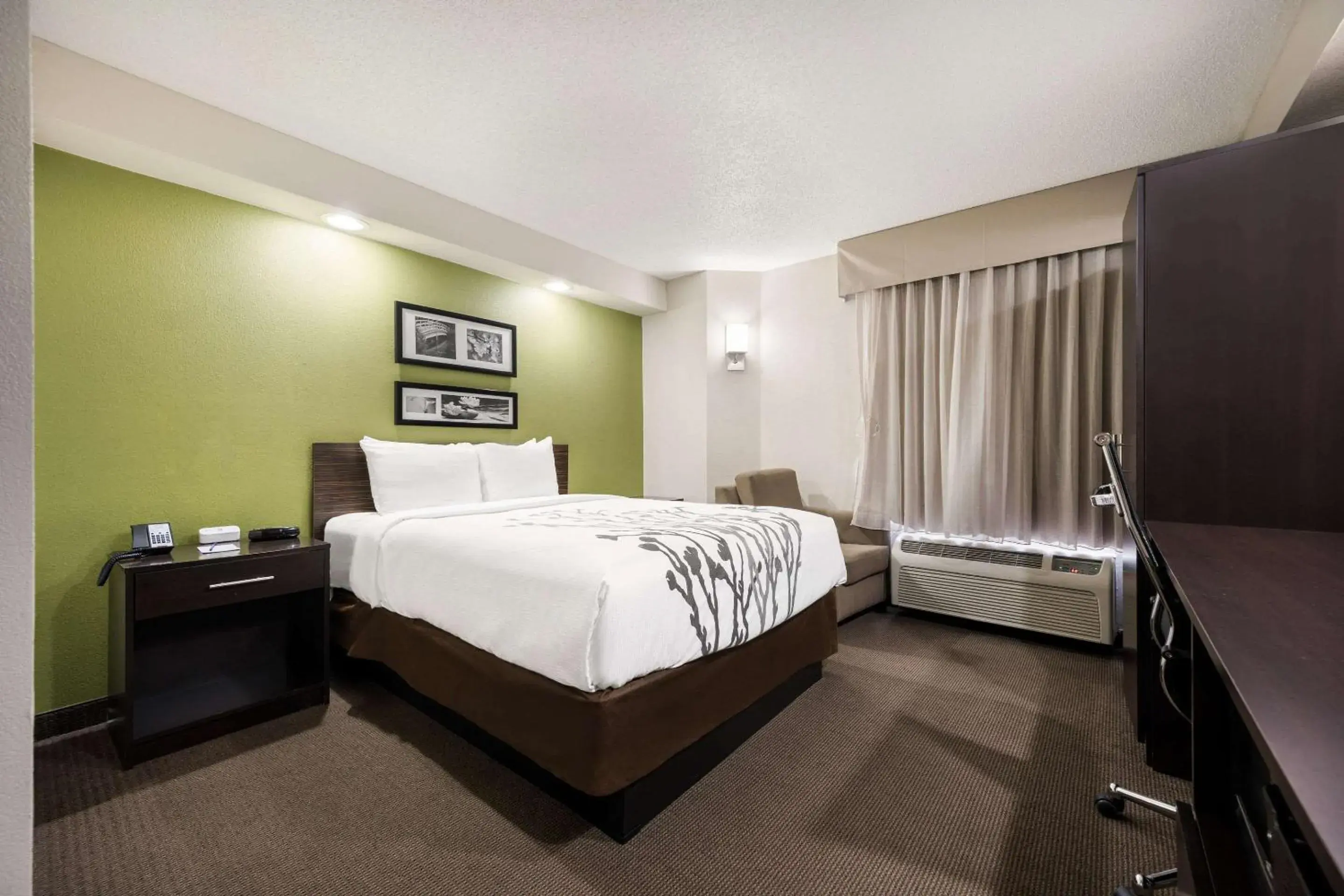 Bed in Sleep Inn Athens I-65 Bed in Sleep Inn Athens I-65