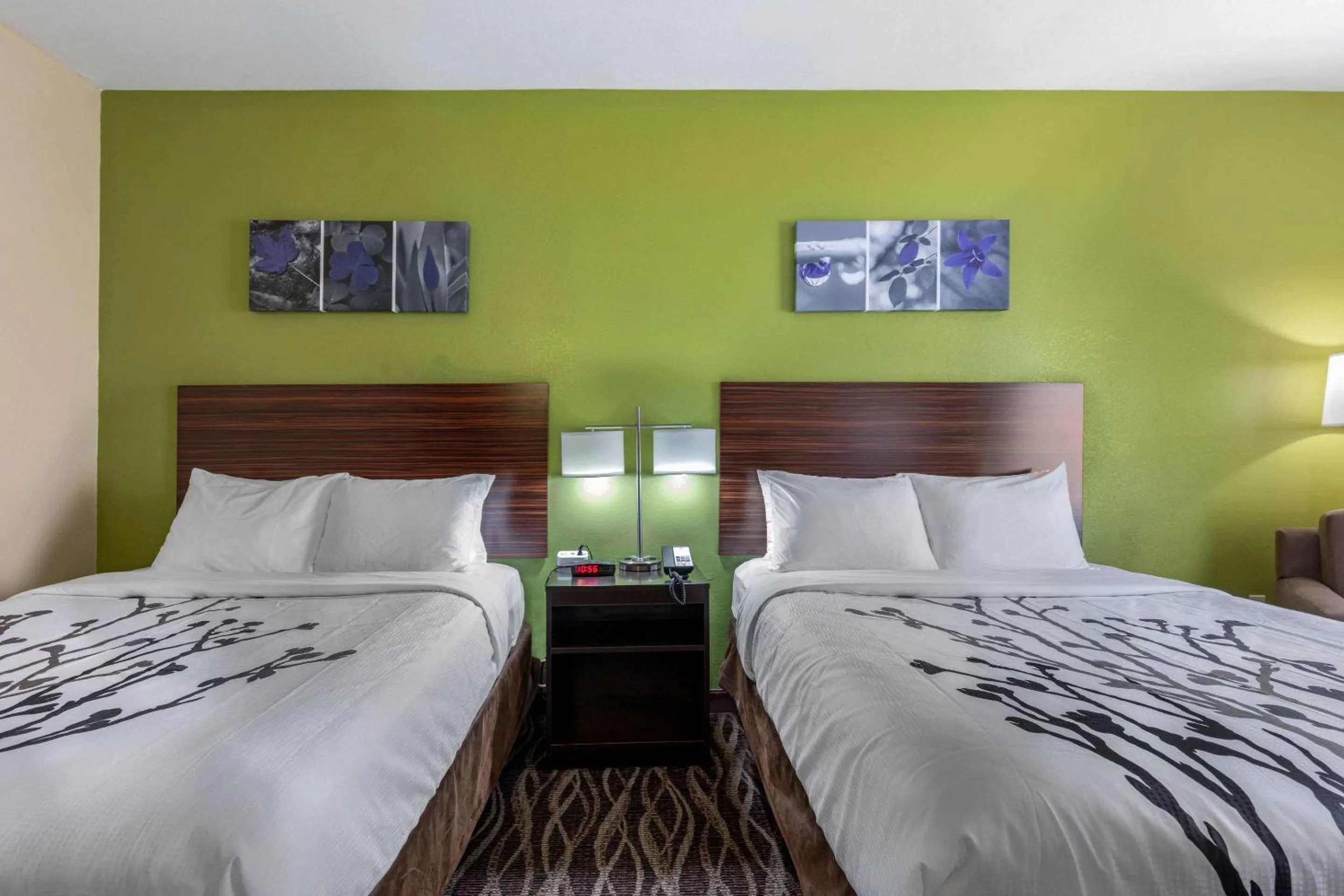 Photo of the whole room, Bed in Sleep Inn & Suites Millbrook - Prattville