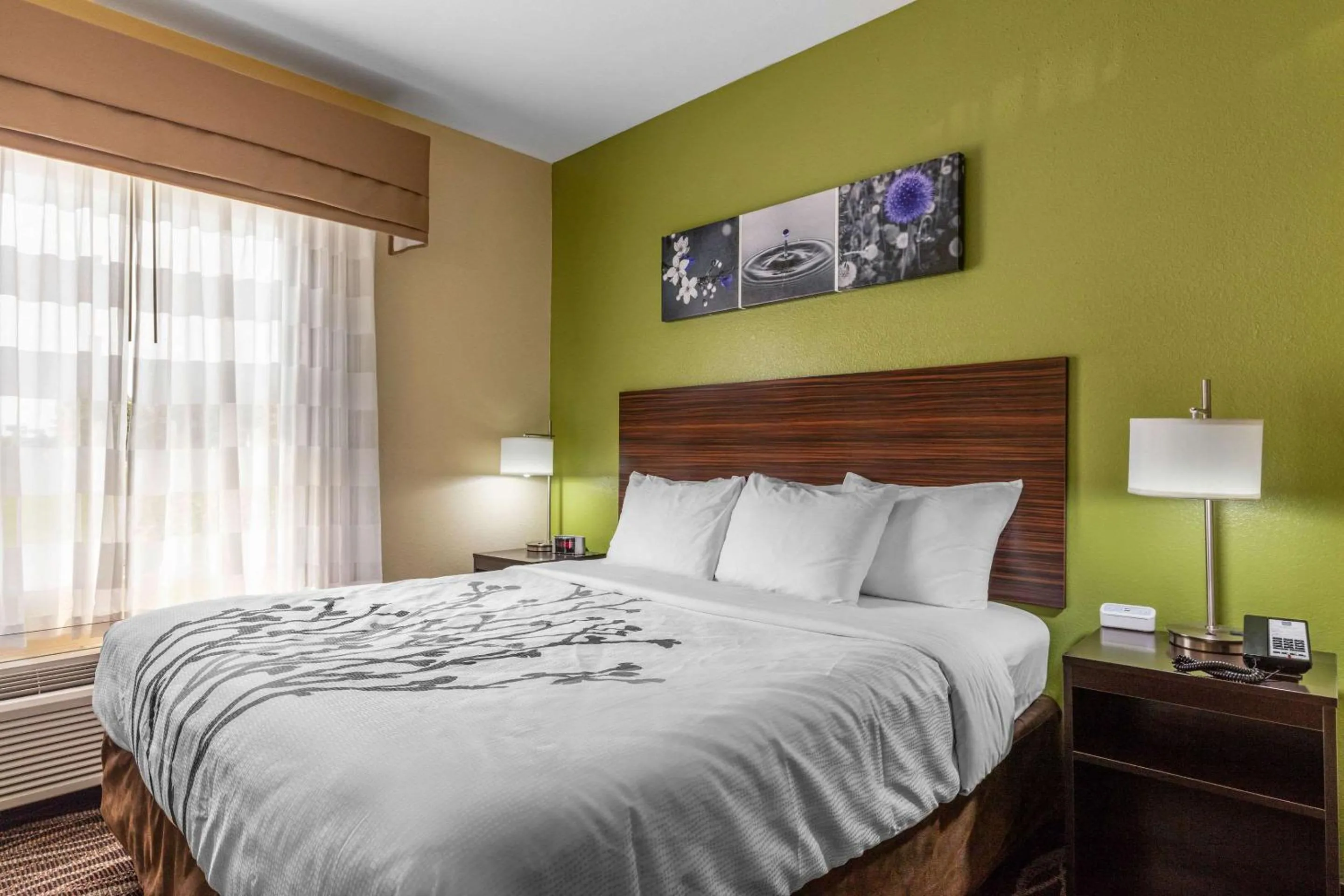 Photo of the whole room, Bed in Sleep Inn & Suites Millbrook - Prattville