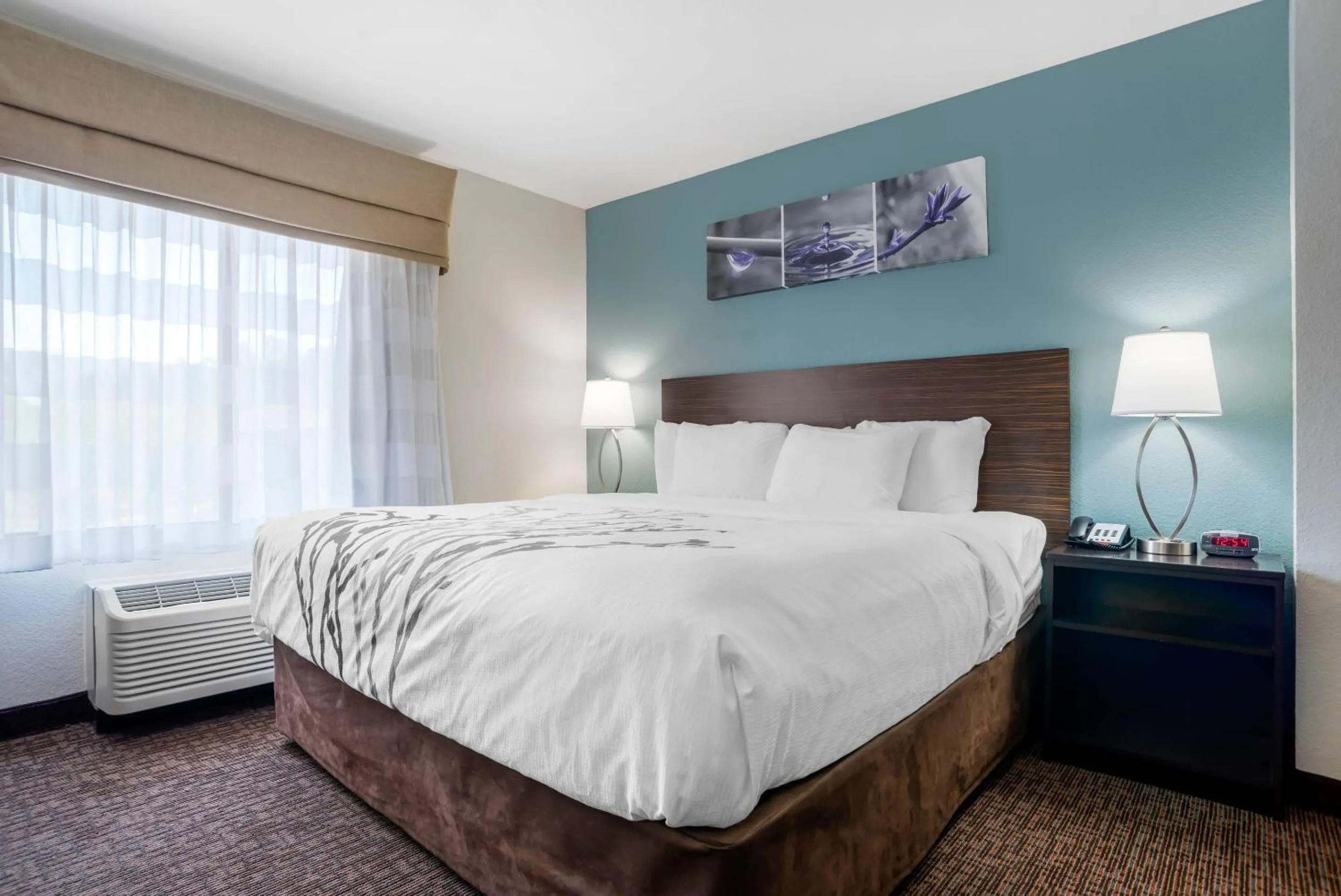 Bedroom, Bed in Sleep Inn & Suites Auburn Campus Area I-85