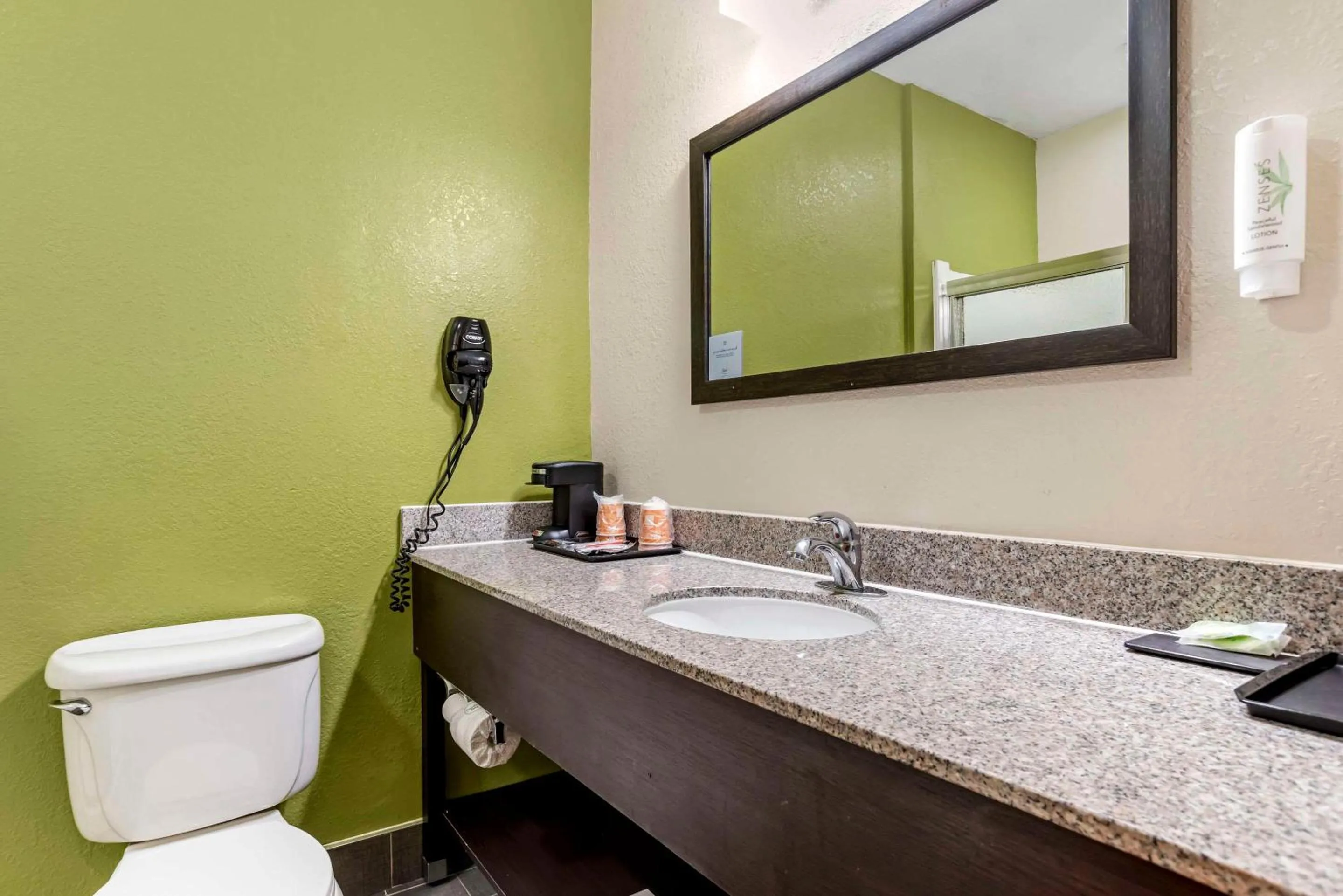 Bedroom in Sleep Inn & Suites Montgomery East I-85