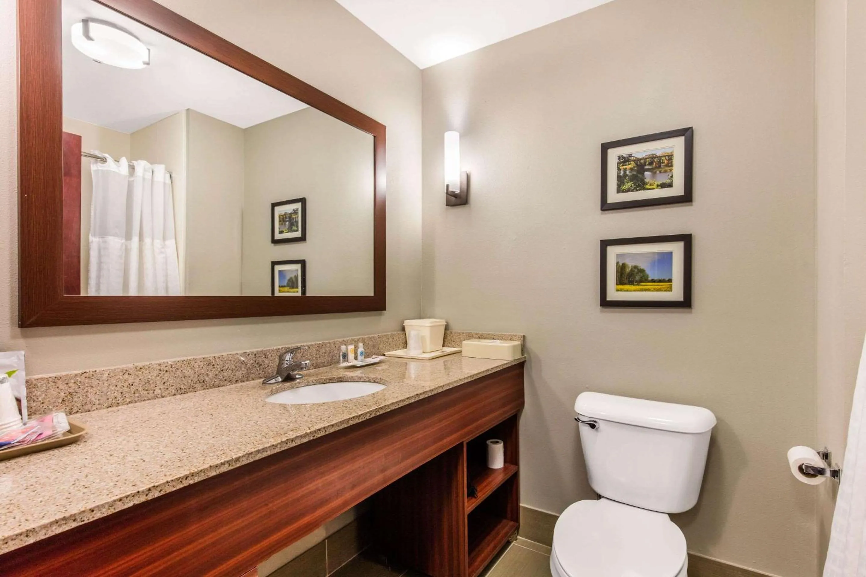 Bathroom in Comfort Suites Tuscaloosa near University