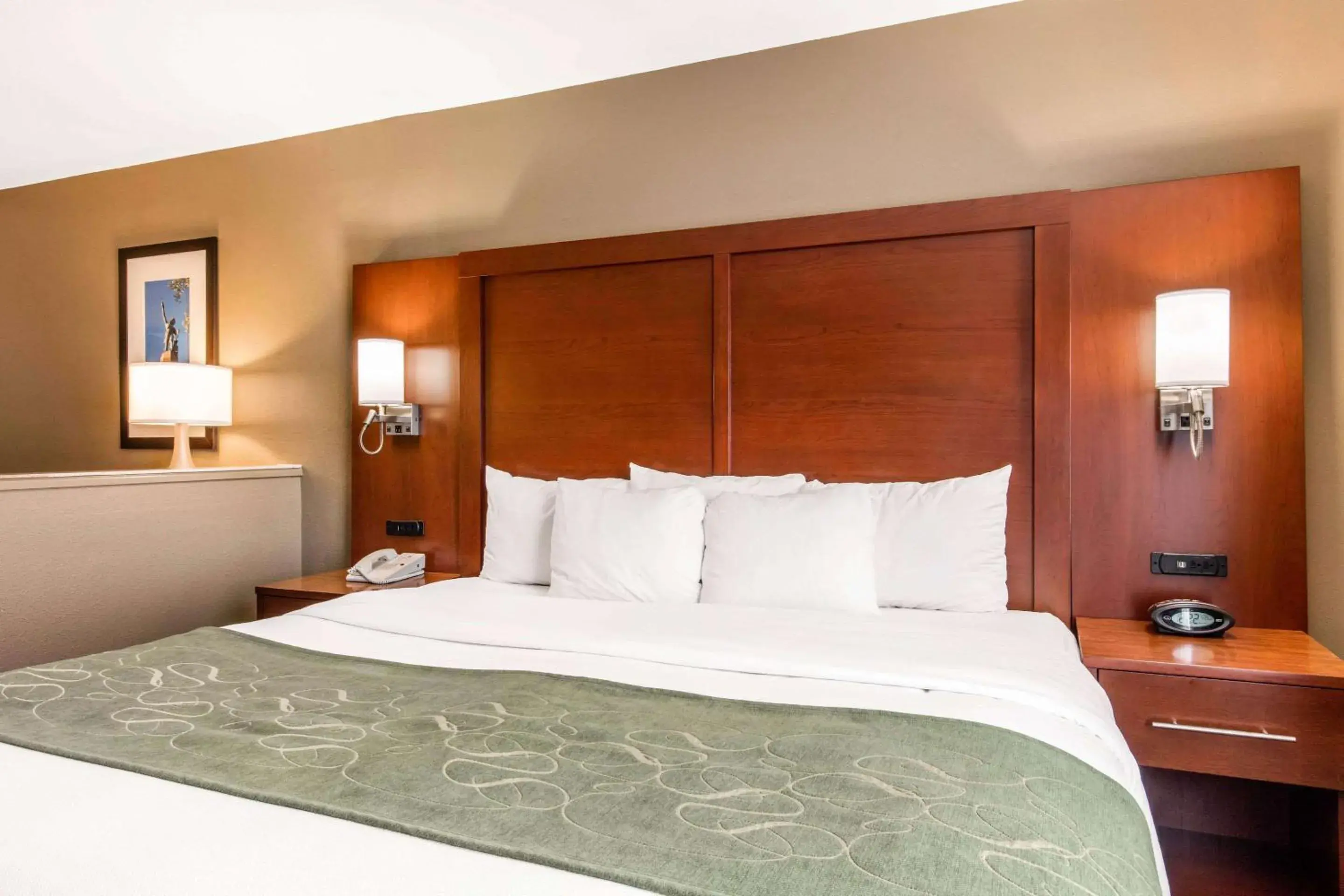 King Suite - Accessible/Non-Smoking in Comfort Suites Tuscaloosa near University King Suite - Accessible/Non-Smoking in Comfort Suites Tuscaloosa near University